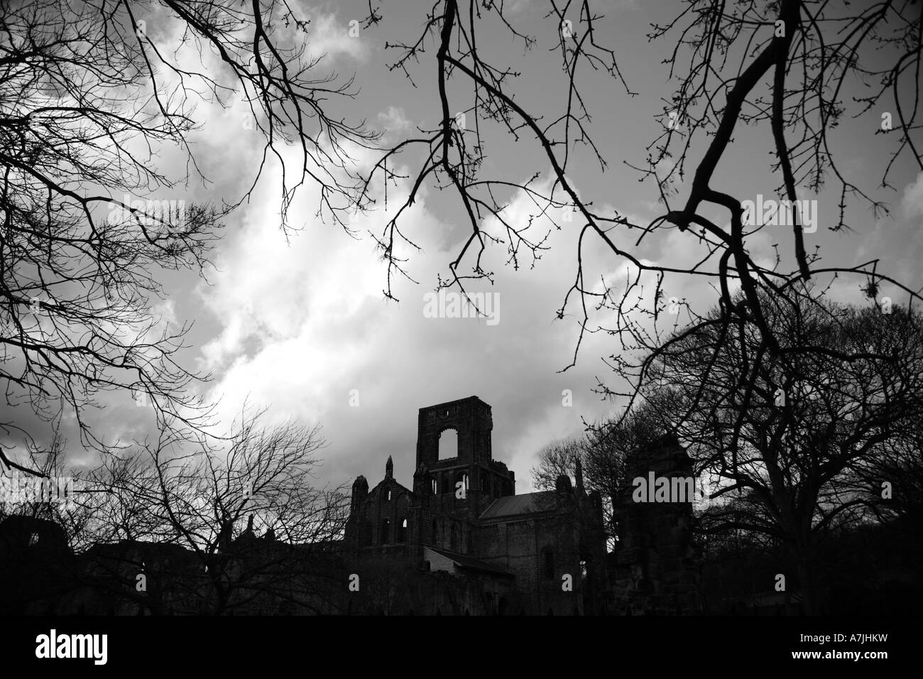 Kirkstall Abbey umrahmt von Ästen getroffen in schwarz / weiß Stockfoto