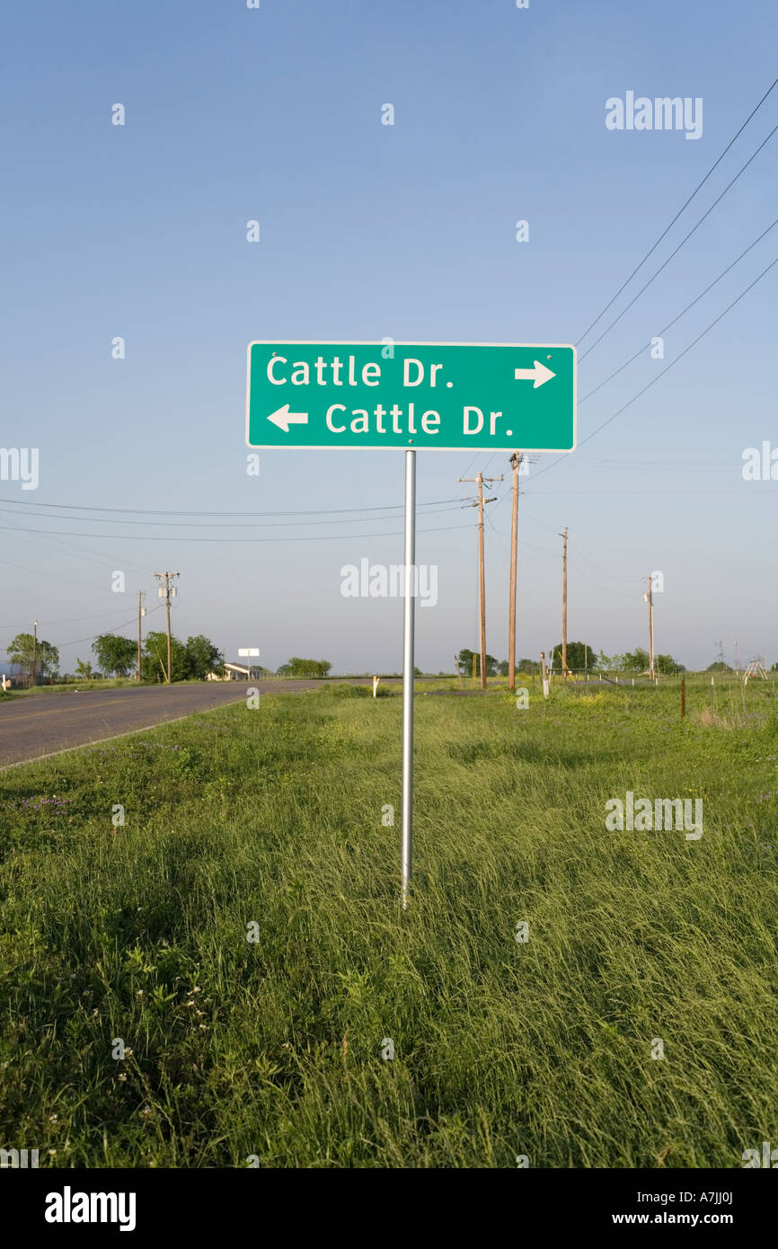 Vieh Dr Straße Schild an der Straße nach Crawford, Texas. Stockfoto