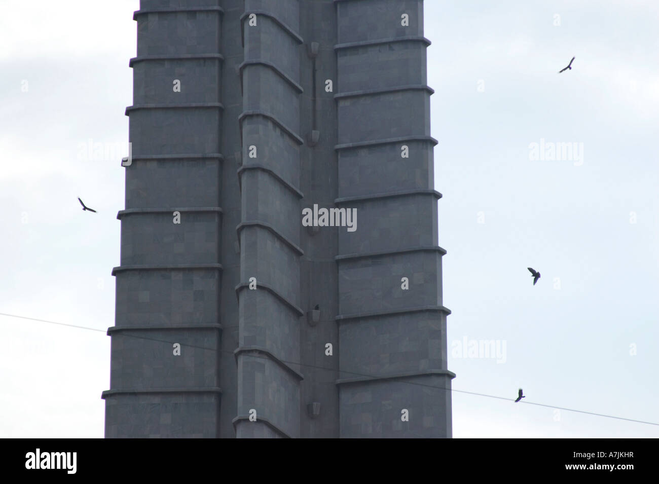 Türkei-Geier fliegen um José Martí Memorial Havanna Stockfoto