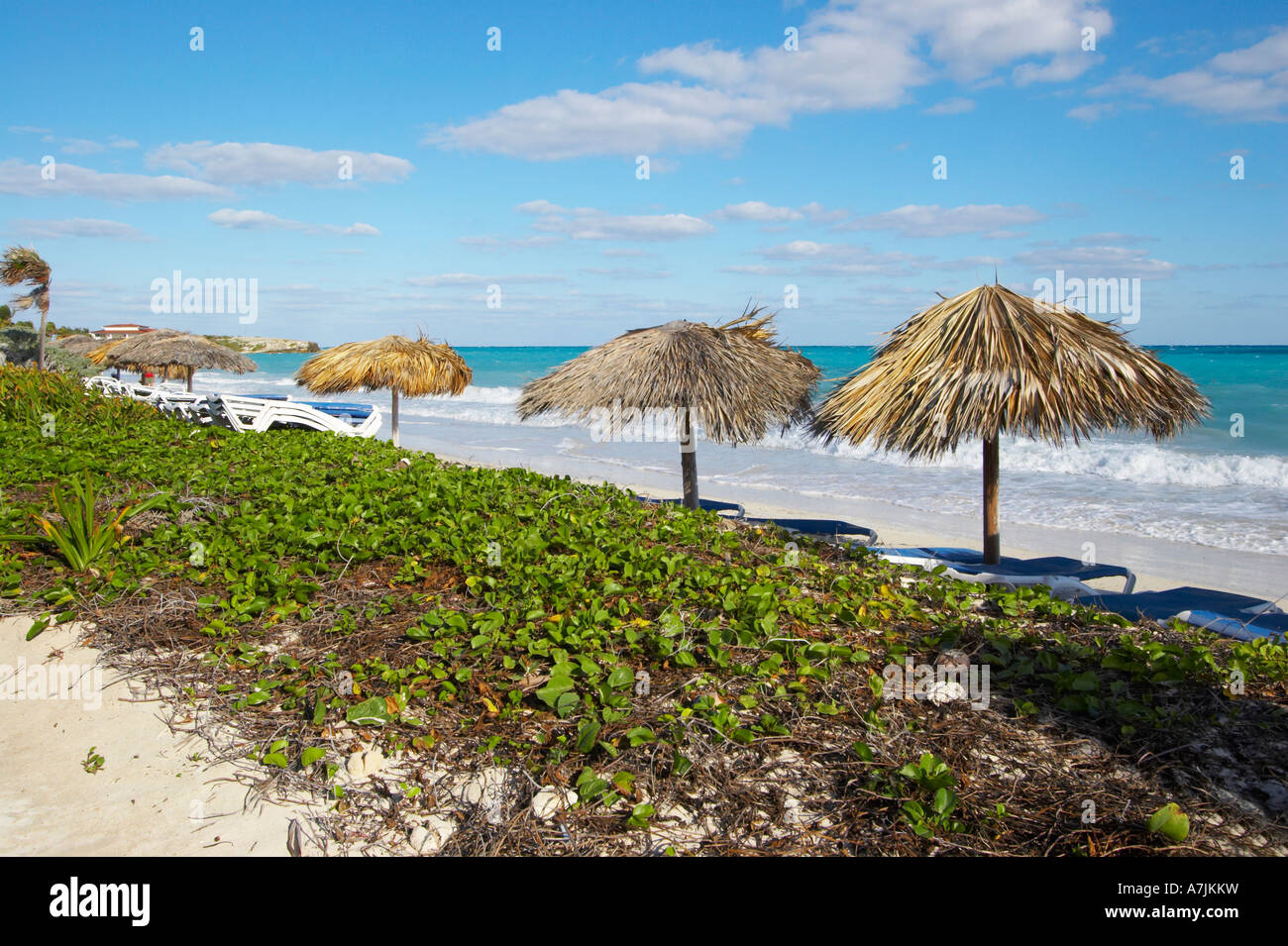 Cayo Coco Beach Kuba Stockfoto