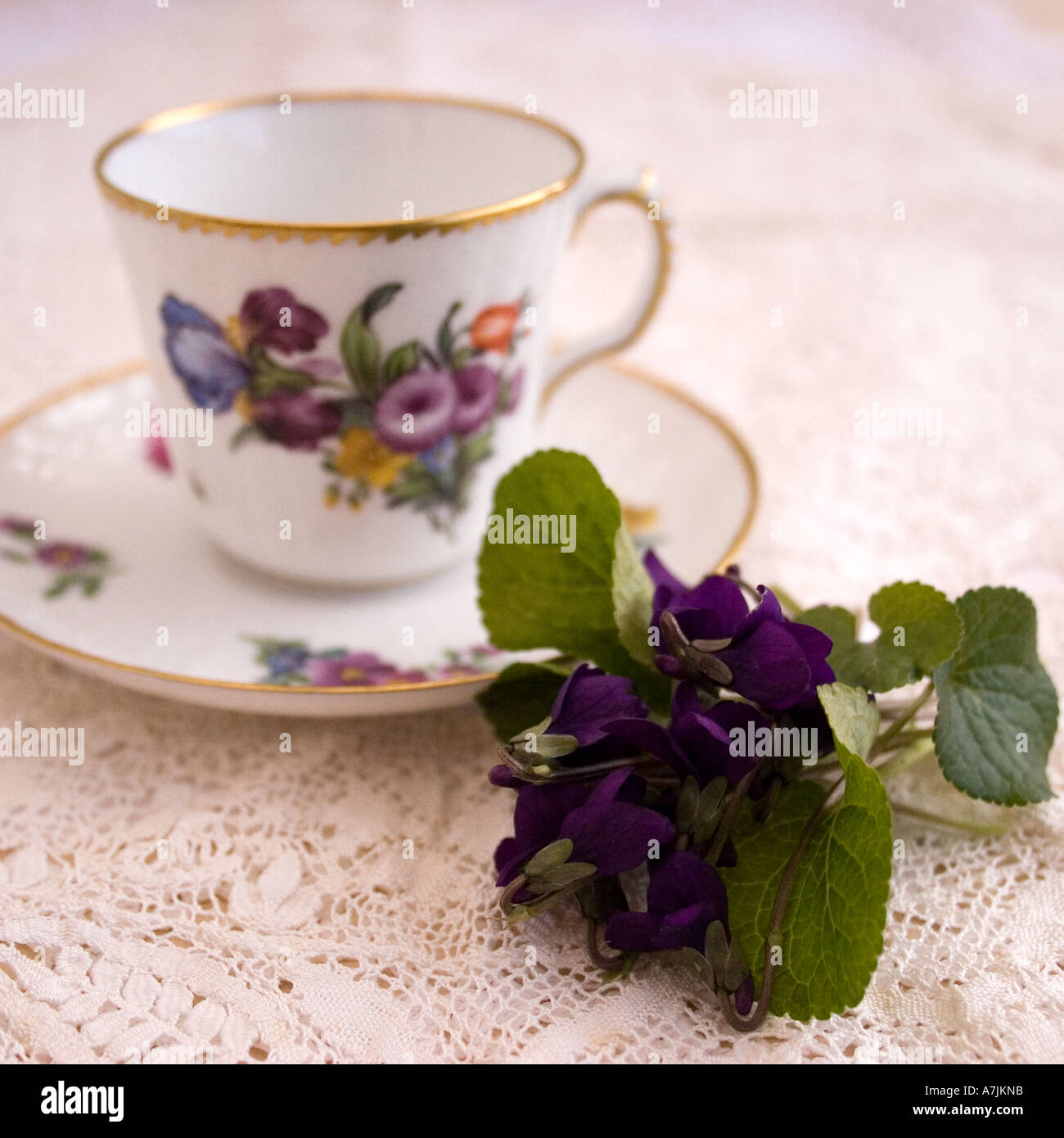 Porzellan Teetasse mit Haufen von Veilchen Stockfoto
