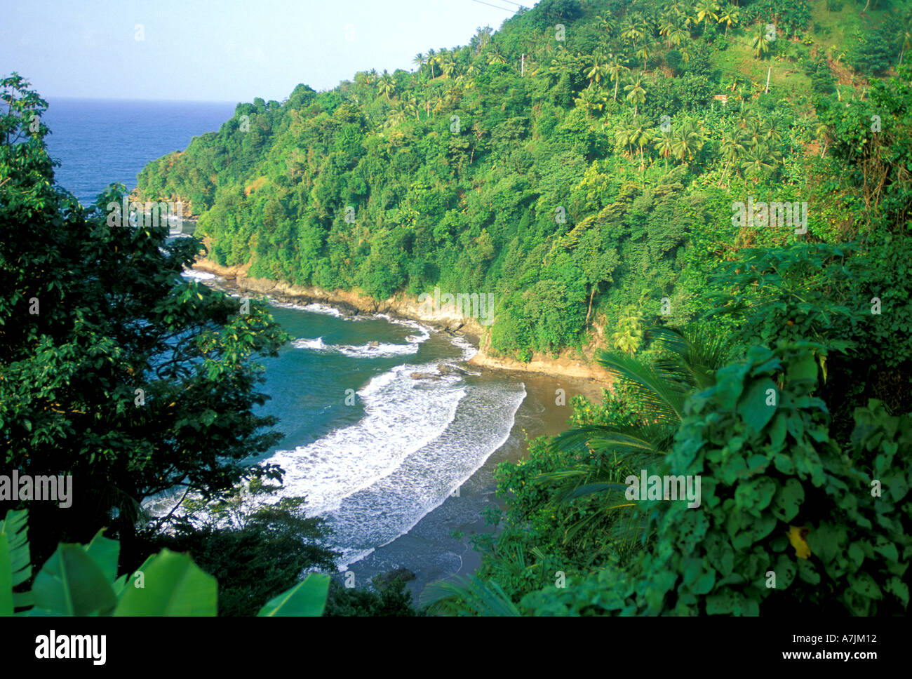 Dominica West Indies Karibik Küste Pagua Ostbucht-Übersicht Stockfoto