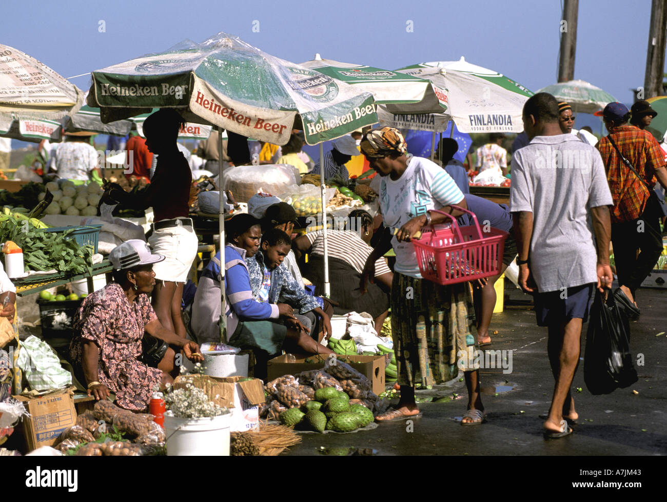 Dominica Antillen Karibik Roseau Samstagsmarkt Obst Gemüse Stockfoto