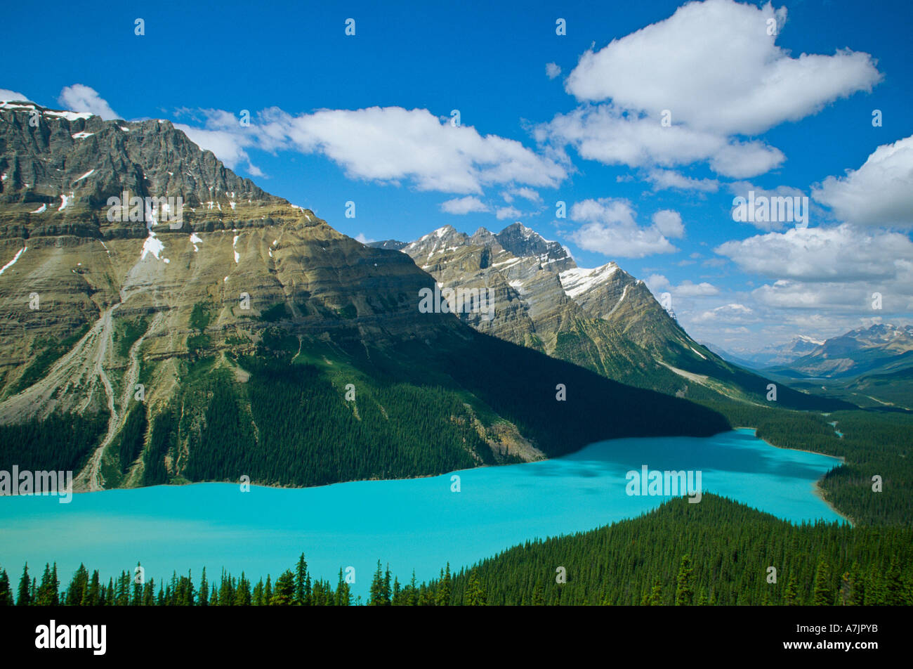 Peyto Lake von Bow Summit in Mitte Nachmittag, höchster Punkt auf dem Icefields Parkway, Banff NAT ' l Park, Alberta, Kanada aus gesehen Stockfoto