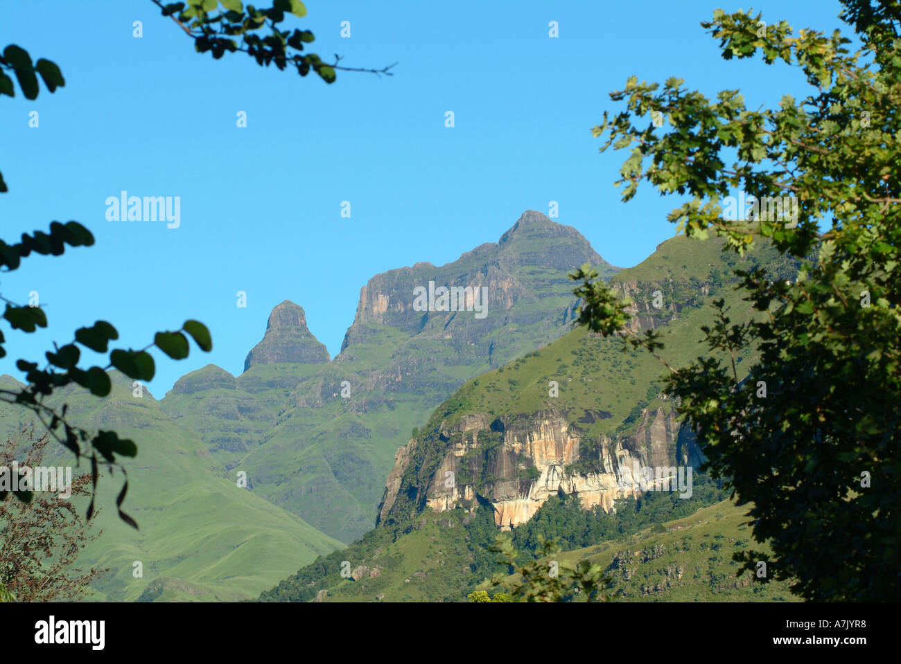 Die Glocke und die Cathedral Peak Drakensberg Bergkette umrahmt in Südafrika Filialen Stockfoto