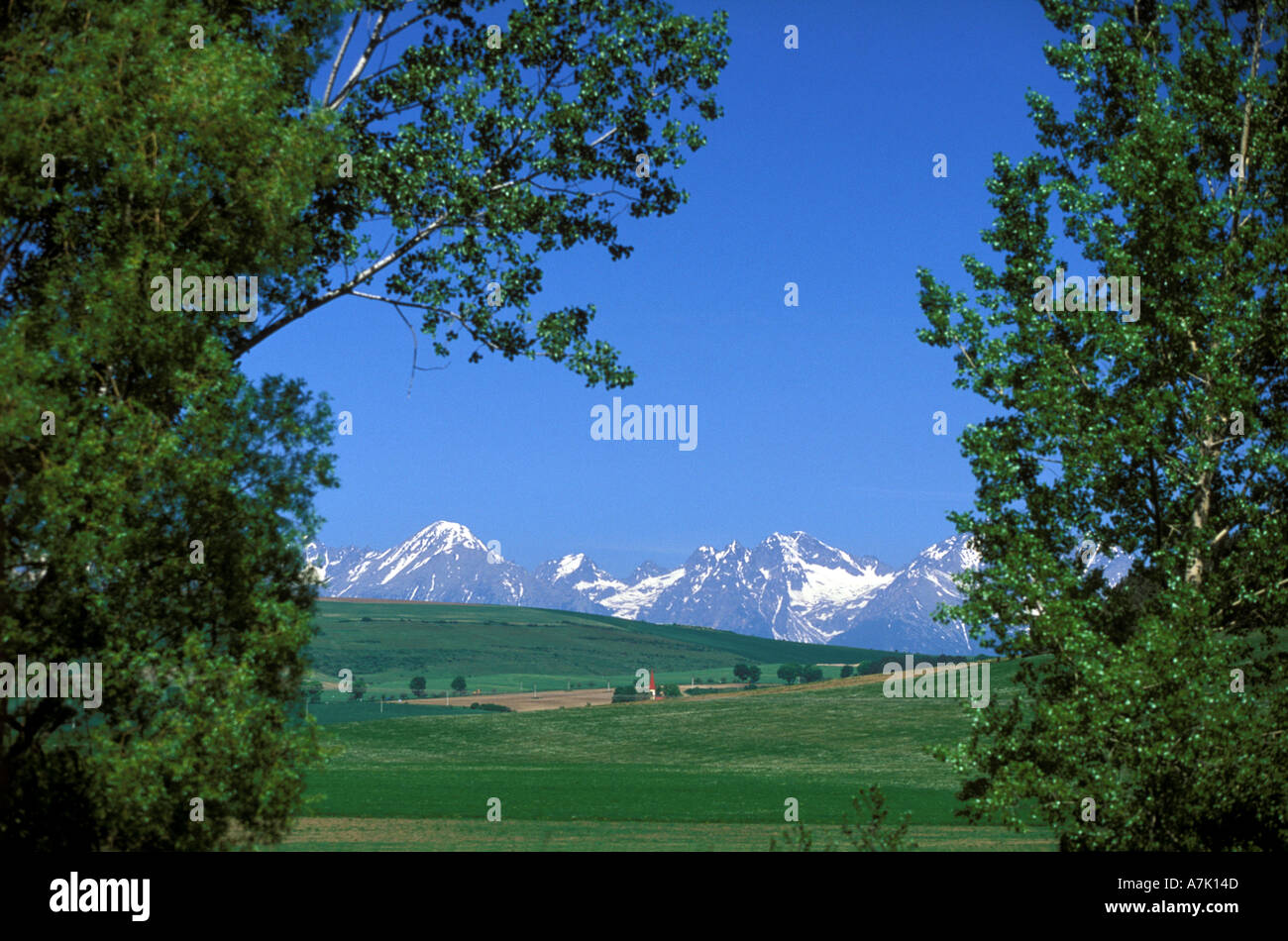 Das Tatra-Gebirge in der Slowakei Stockfoto