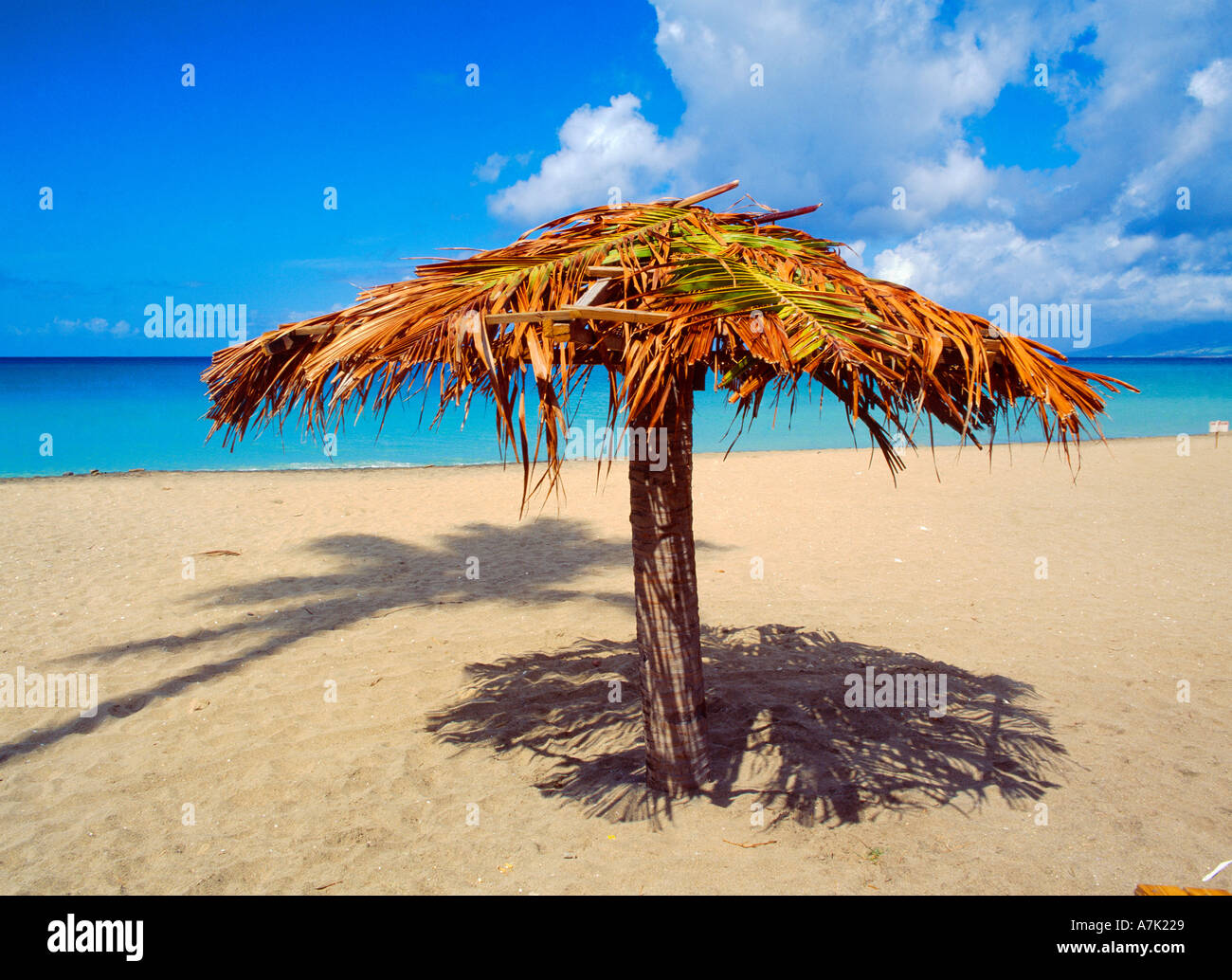 St. Kitts Nevis Pinneys leeren Strand Sonnenschirm Stockfoto