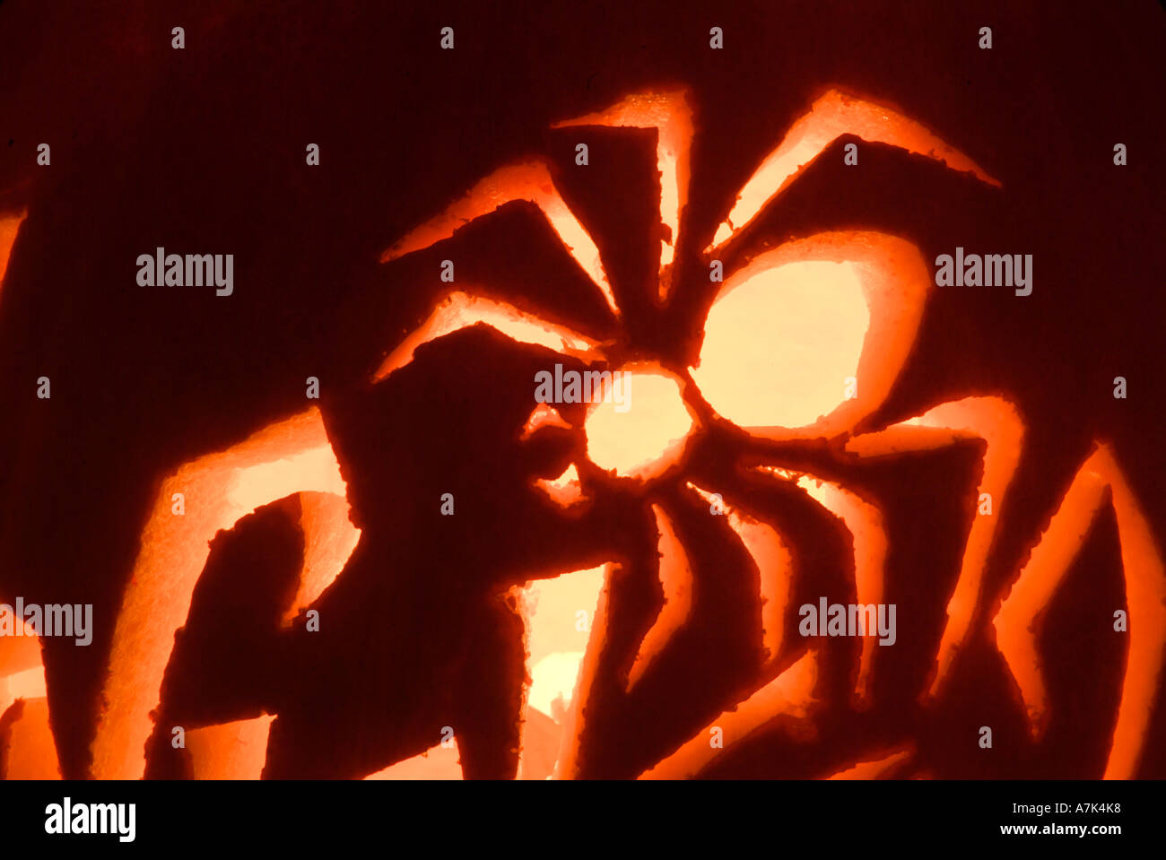 Glühende Spinne in einen Kürbis geschnitzt Stockfoto