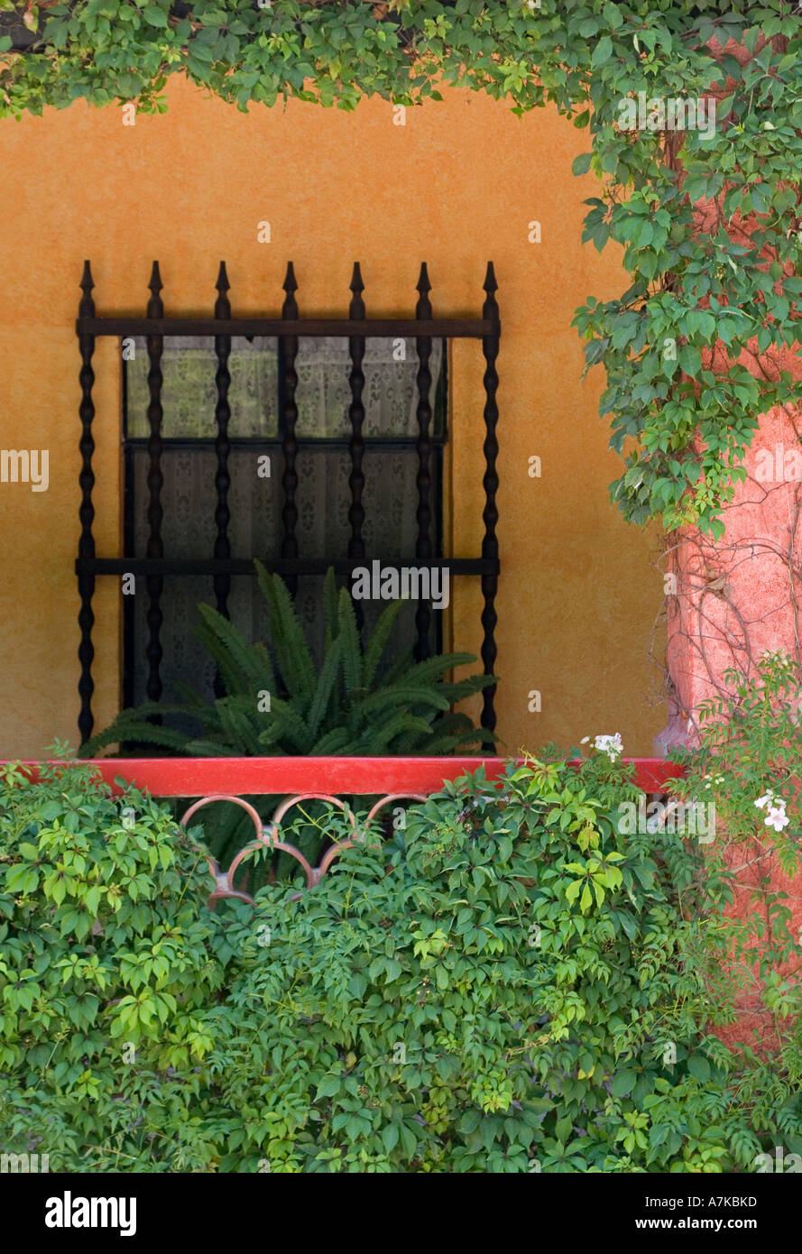 Erstellen Sie eine schmiedeeiserne Fenster Rost Efeu Tür mexikanischen Stil dieses Hotels in SAN MIGUEL DE ALLENDE, Mexiko Stockfoto