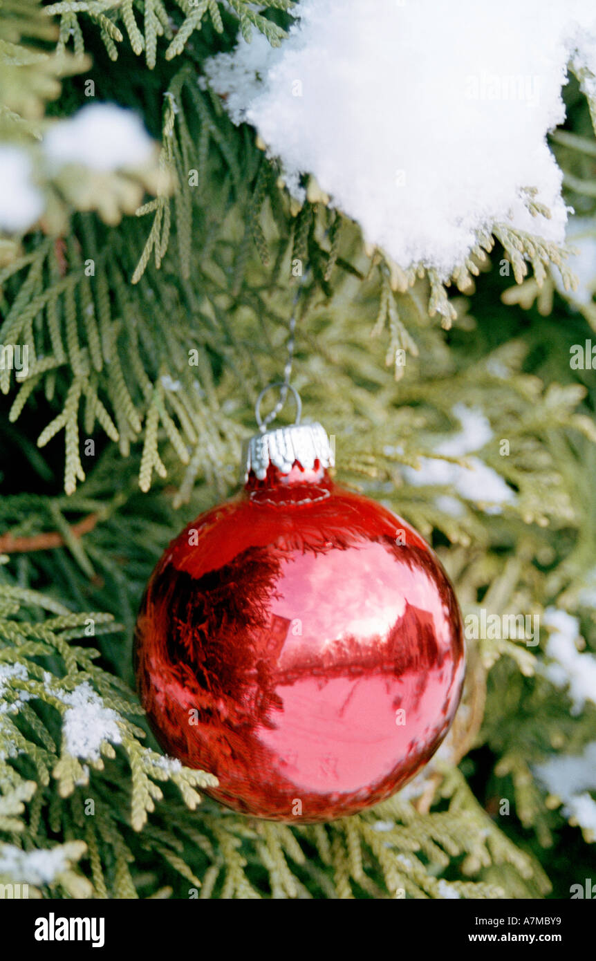 Rot Weihnachten Dekoration von Weihnachtsbaum hängen Stockfoto