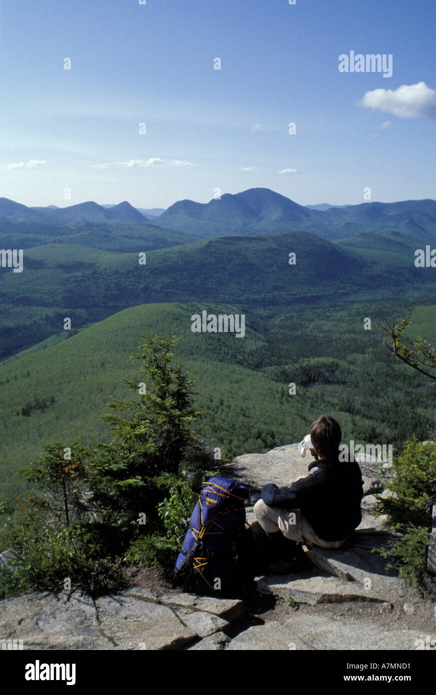 UNS, NH, Rucksackreisen, White Mountains NF Pemigewasset Wilderness Area, Twinway, Appalachian Trail (MR) Stockfoto