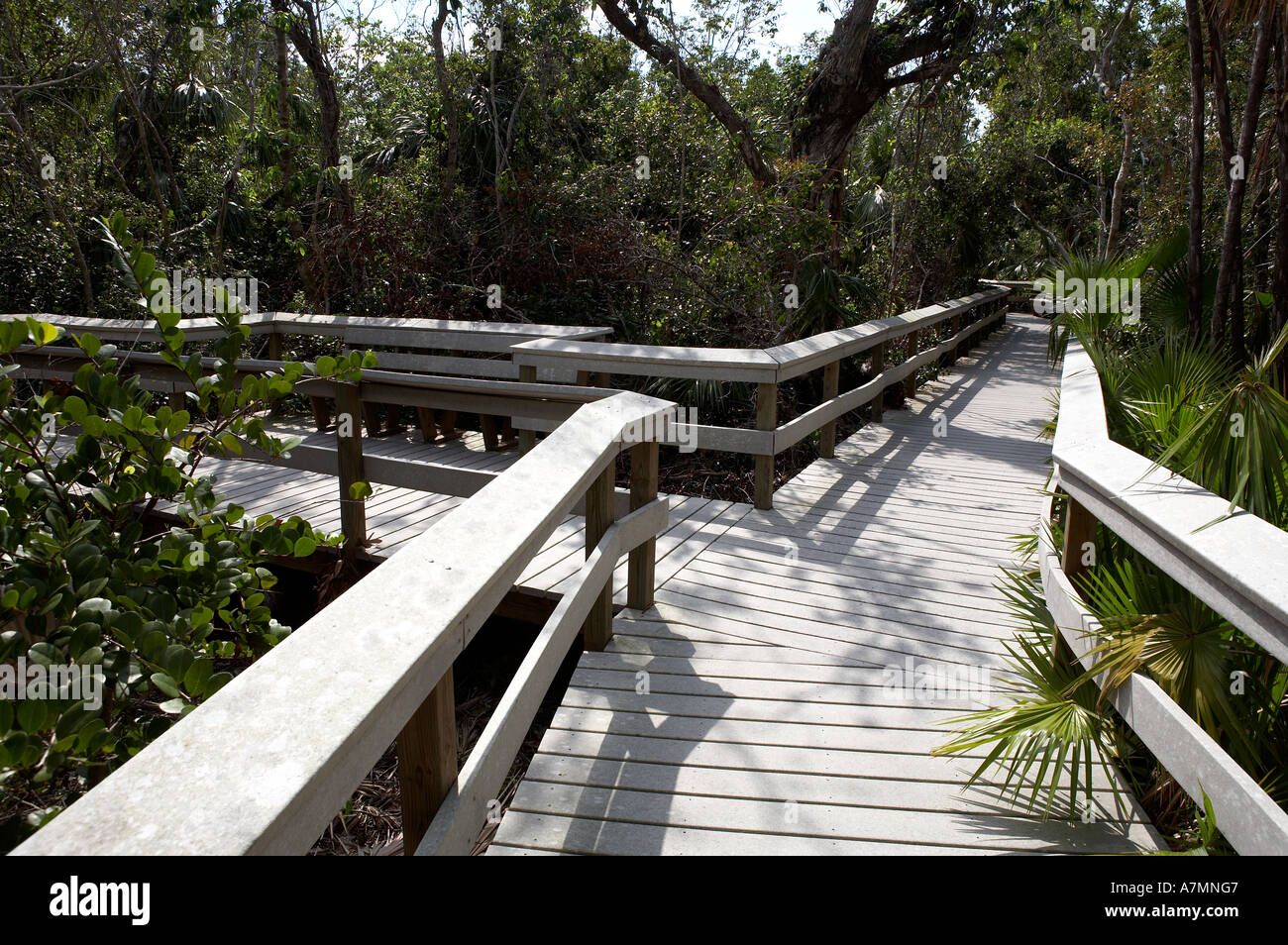 Gehwege in Mahagoni Hängematte Everglades erklären Nationalpark Florida Vereinigte Staaten usa Stockfoto