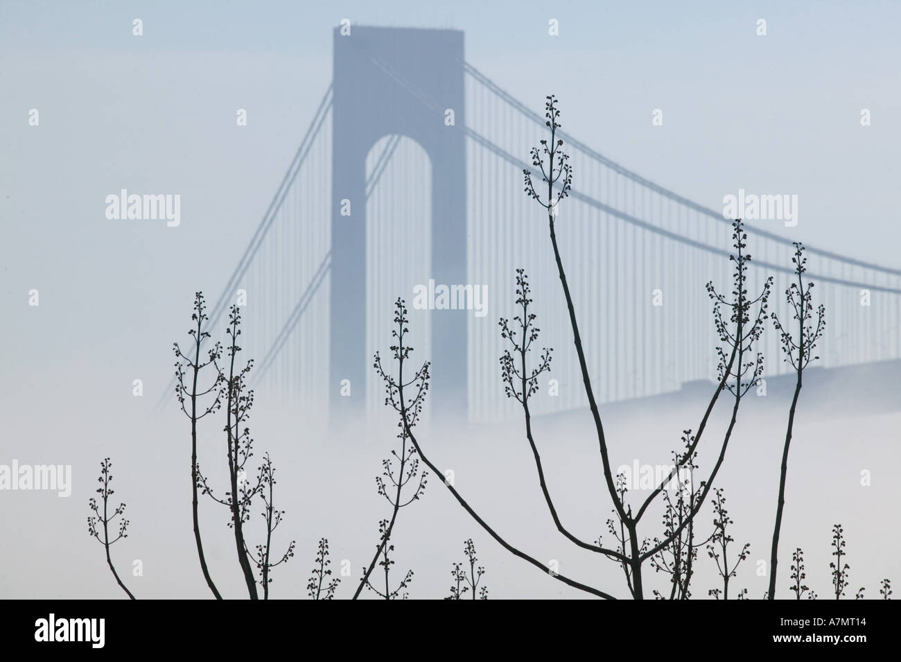 USA, New York, Staten Island: Verrazano Narrows Bridge in Morgen Nebel, Verrazano Narrows, Lower New York Bay Stockfoto