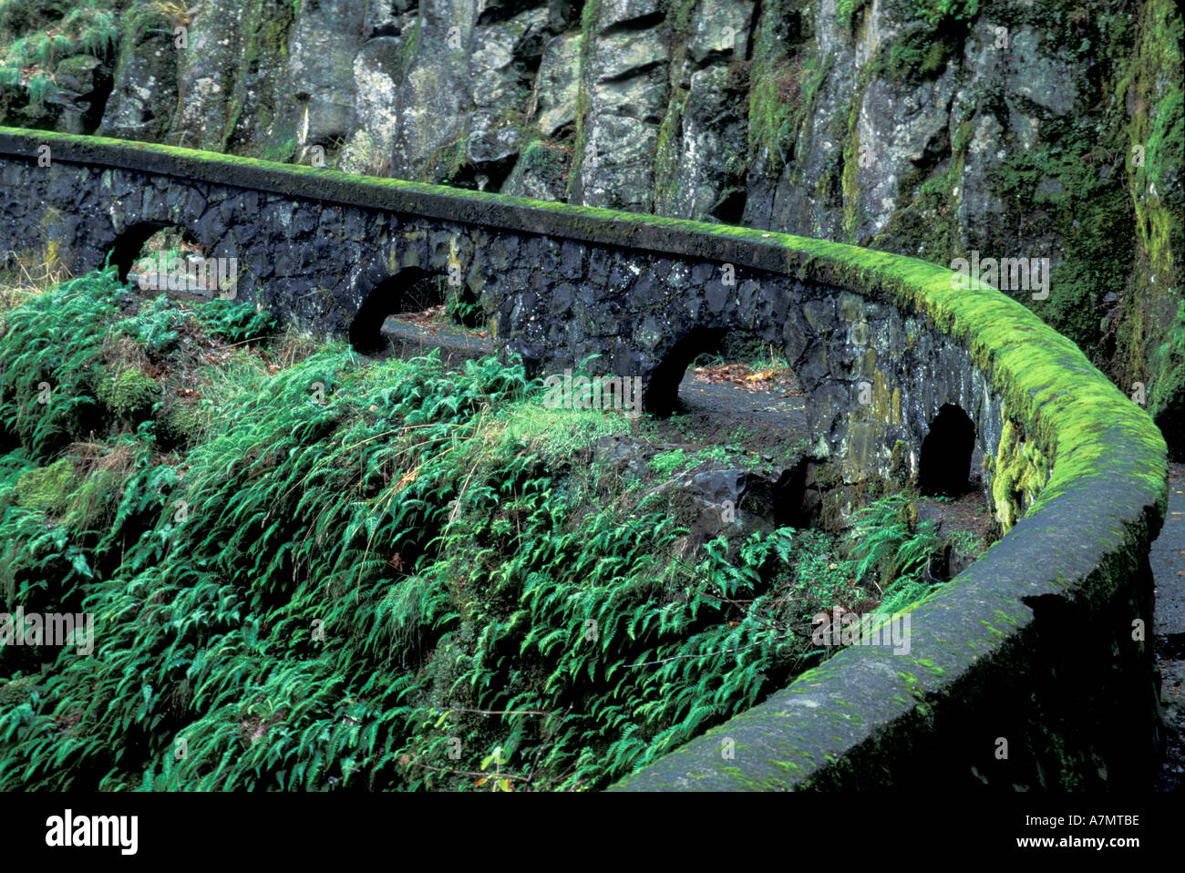 USA, Oregon, Columbia River Gorge NSA, Zaun, Schäfers Dell fällt weg Stockfoto