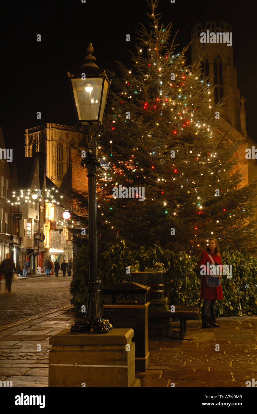 Weihnachtsbaum bei Nacht, York, England, UK Stockfoto
