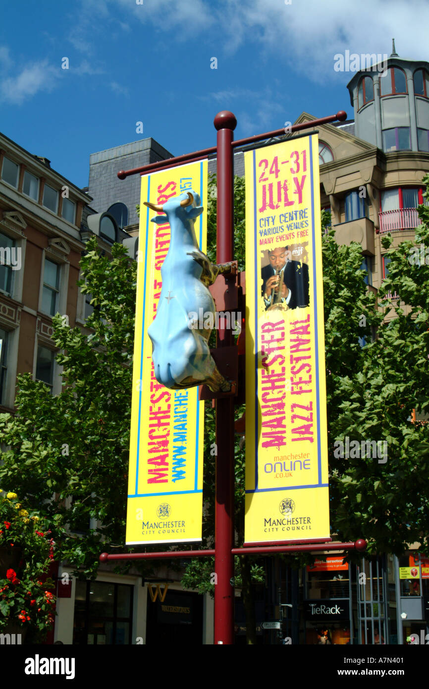 Tier Tiere Kuh Stockfoto