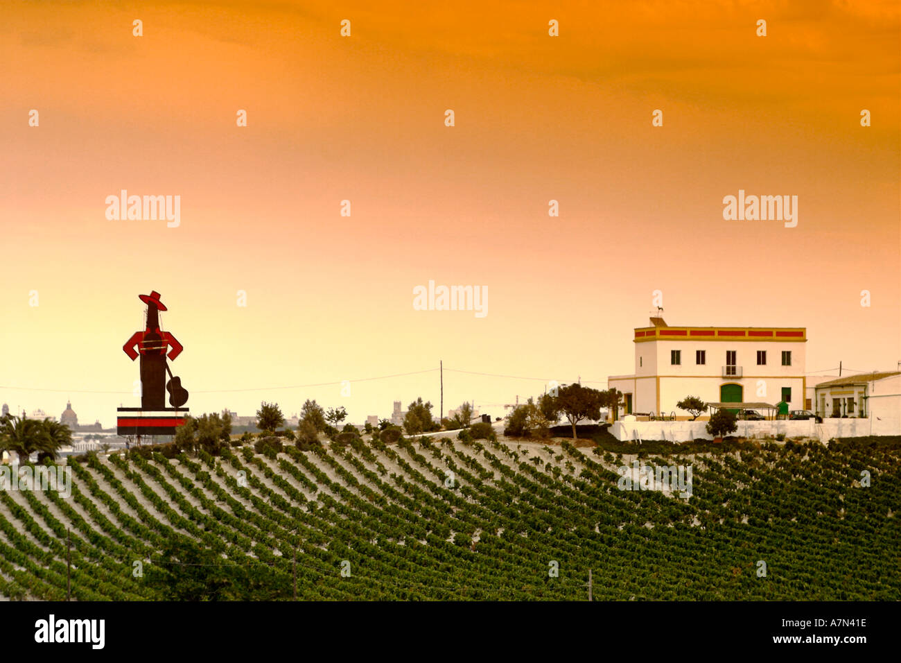 Spanien Andalusien Costa De La Luz Jerez De La Frontera Sherry Werbung von Tio Pepe Gonzales Byass Sherry Wein Felder finca Stockfoto