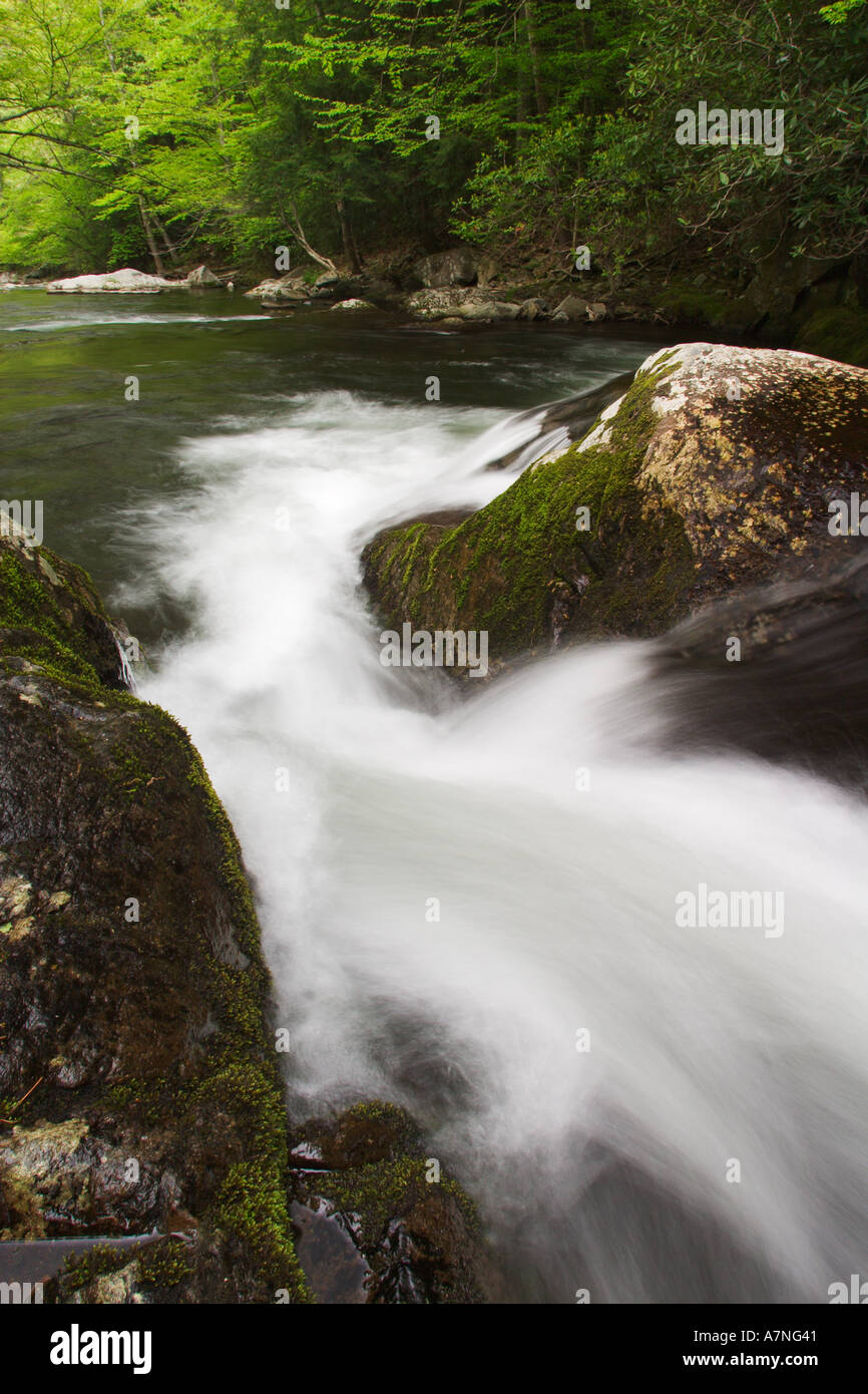 Mittlere Zinke des Little Pigeon River, Great Smoky Mountains Nationalpark TN Stockfoto