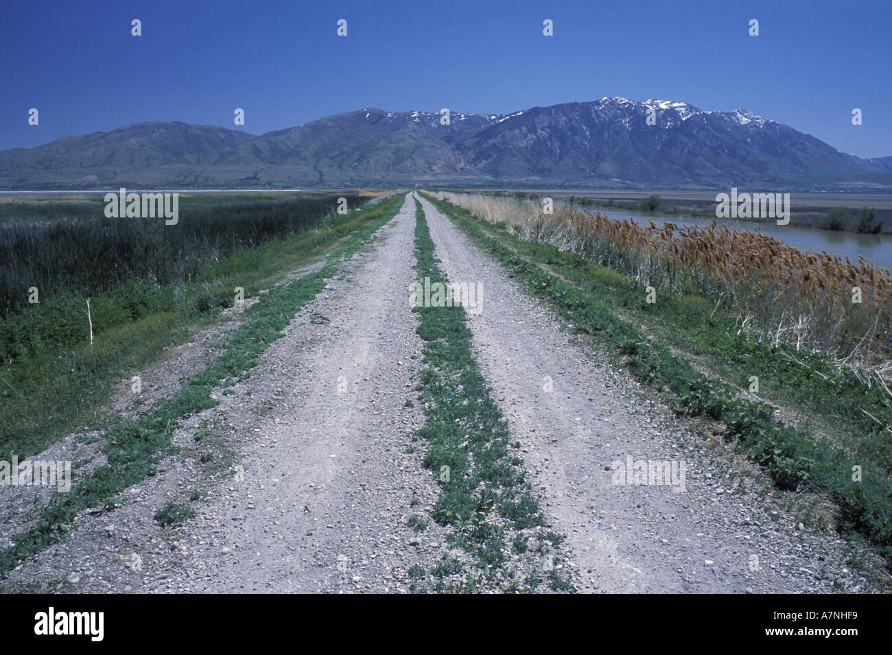 Brigham City, UT. Deichstraße am Bear River Migratory Bird Zuflucht, Great Salt Lake. Wasatchkette hinter Stockfoto