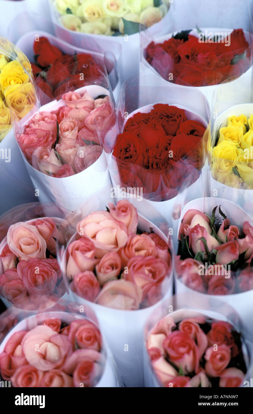 China, Hongkong, Kowloon, Mongkok Bezirk Blume Stadtmarkt Stockfoto