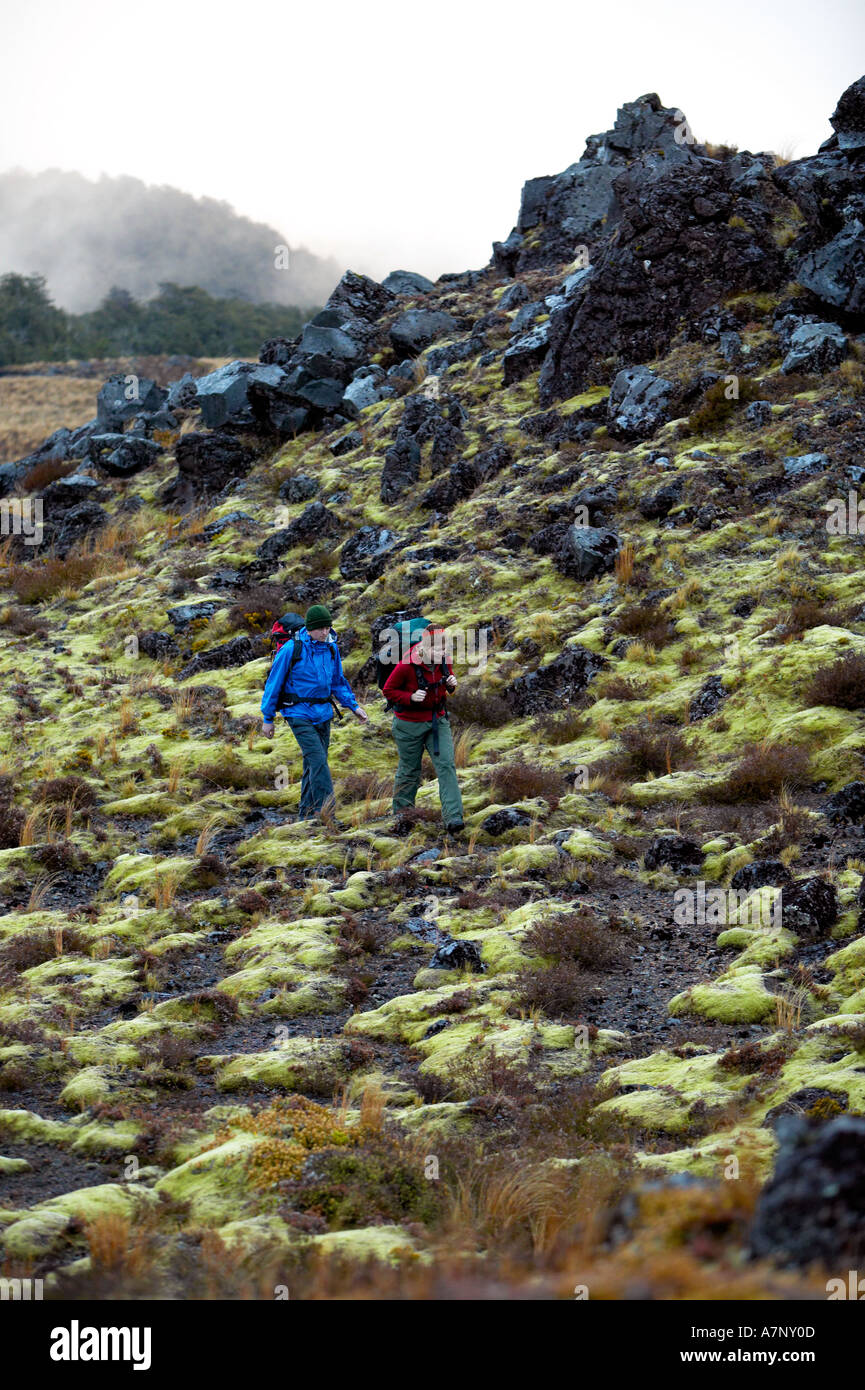 Whanganui River Ruapehu-Distrikt New Zealand Stockfoto