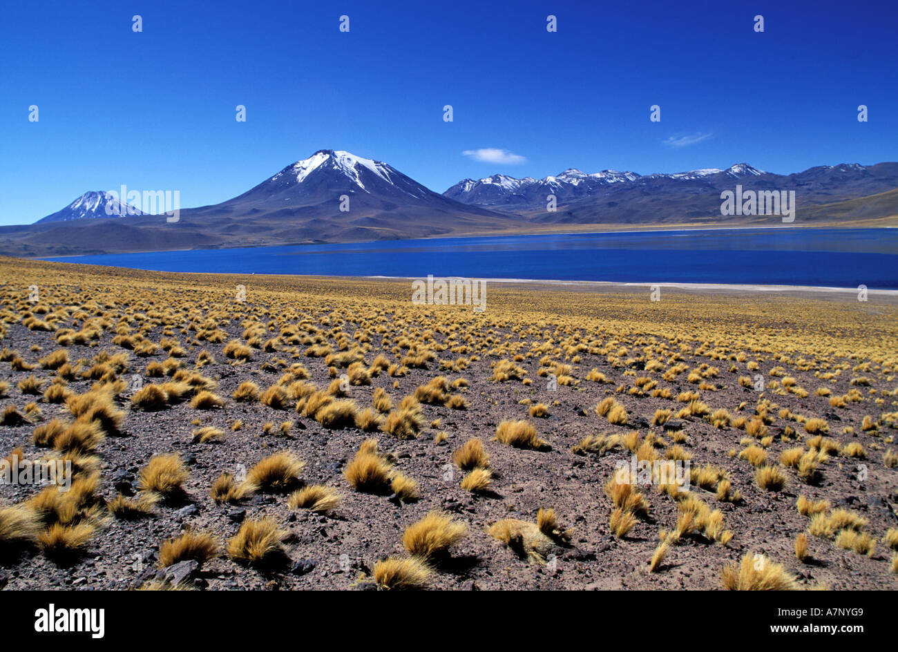 Chile, Antofagasta Region, San Pedro de Atacama, Laguna Menique bei 14 271,65 ft Stockfoto