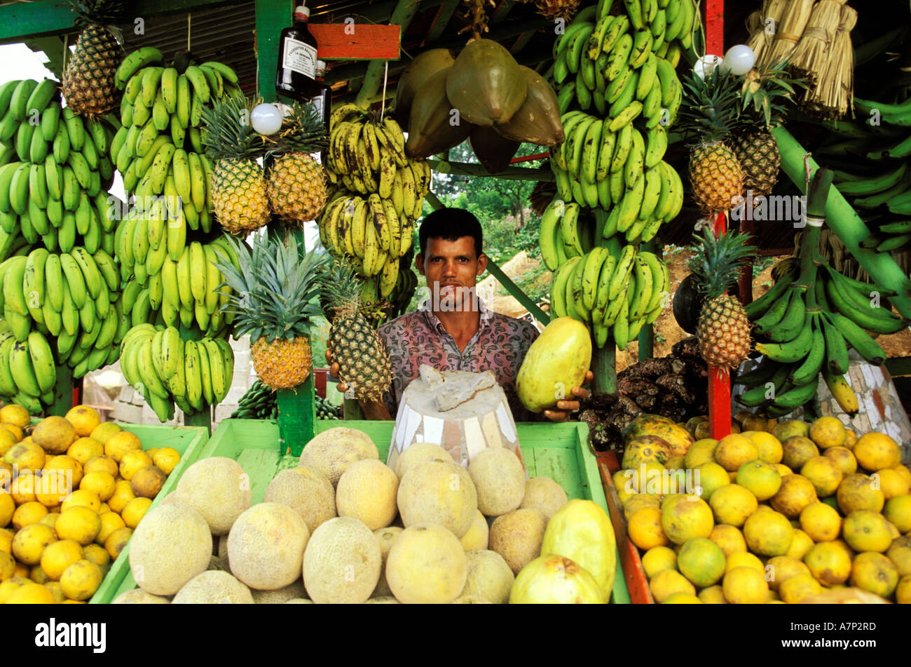Dominikanische Republik, Santiago, Obst-Verkäufer Stockfoto