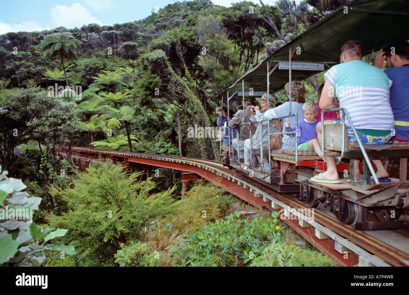 Tourist auf der Driving Creek Railway eine Schmalspurbahn, die durch eine Regenwald Coromandel Halbinsel Neuseeland führt Stockfoto