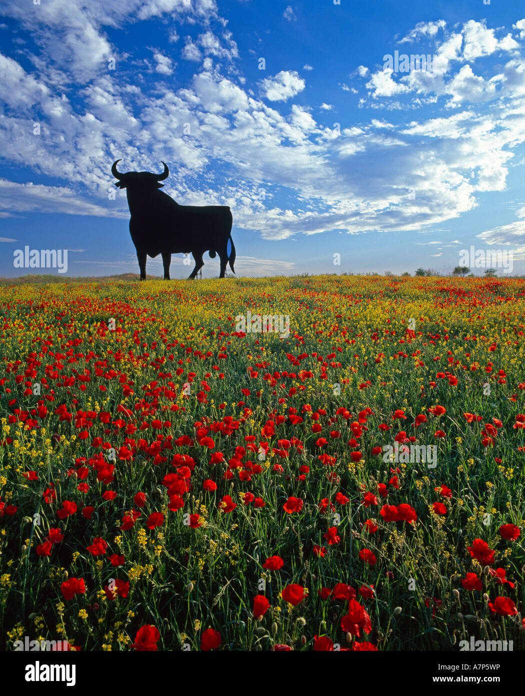 Riesigen Stier, Toros De Osborne, Andalusien, Spanien Stockfoto