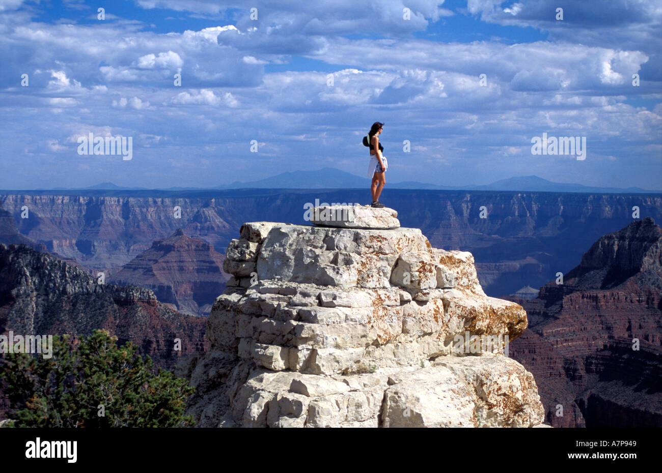 Stehend auf einem Butte im Grand Canyon Stockfoto