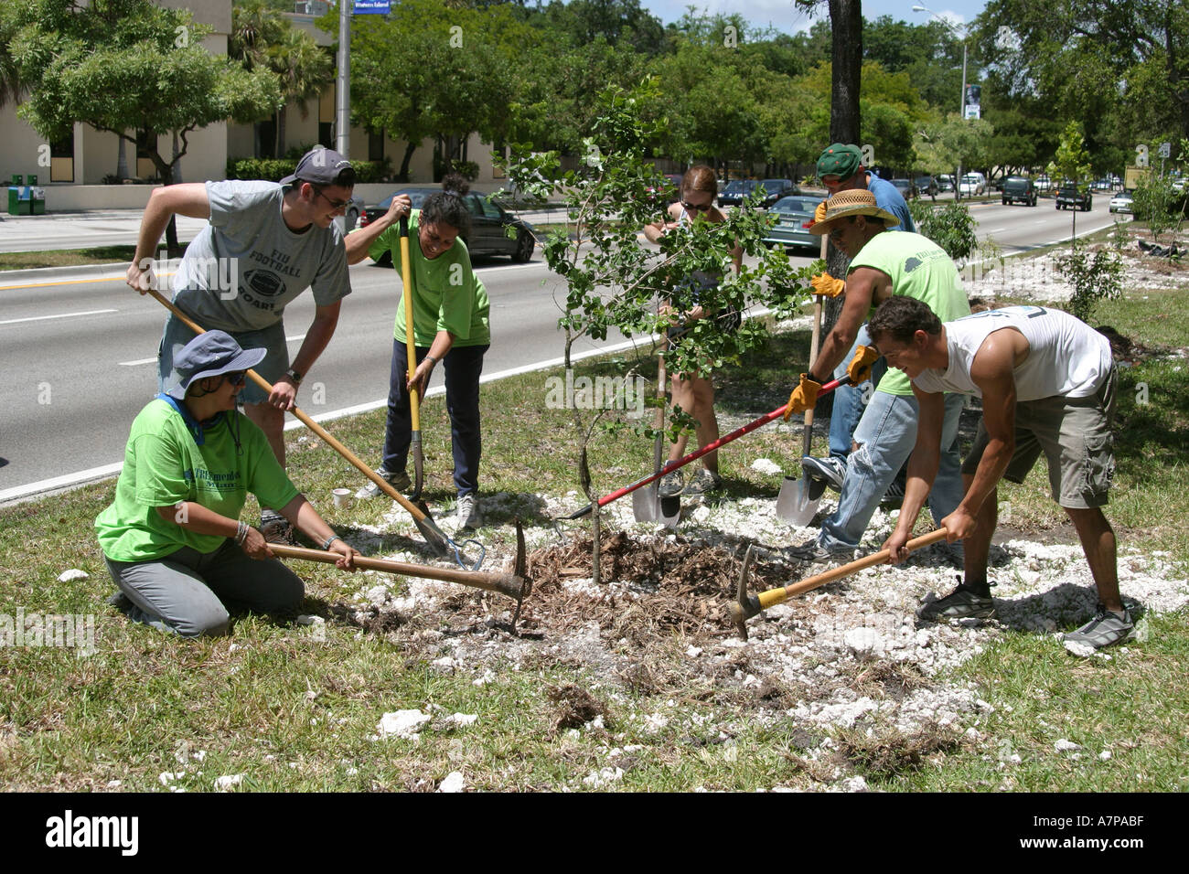 Miami Florida, South Dixie Highway, TREEmendous Miami, Freiwillige Freiwillige ehrenamtliche Mitarbeiter arbeiten, Teamwork arbeitet zusammen, um lendi zu helfen Stockfoto