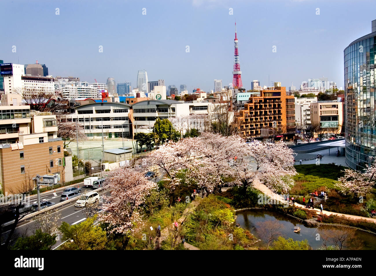Tokyo Roppongi Hills Hiruzu Hills Cherry blossom Stockfoto