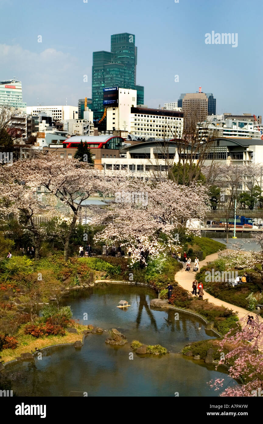 Roppongi Hills Roppongi Hiruzu Kirschblüte rosa Stockfoto