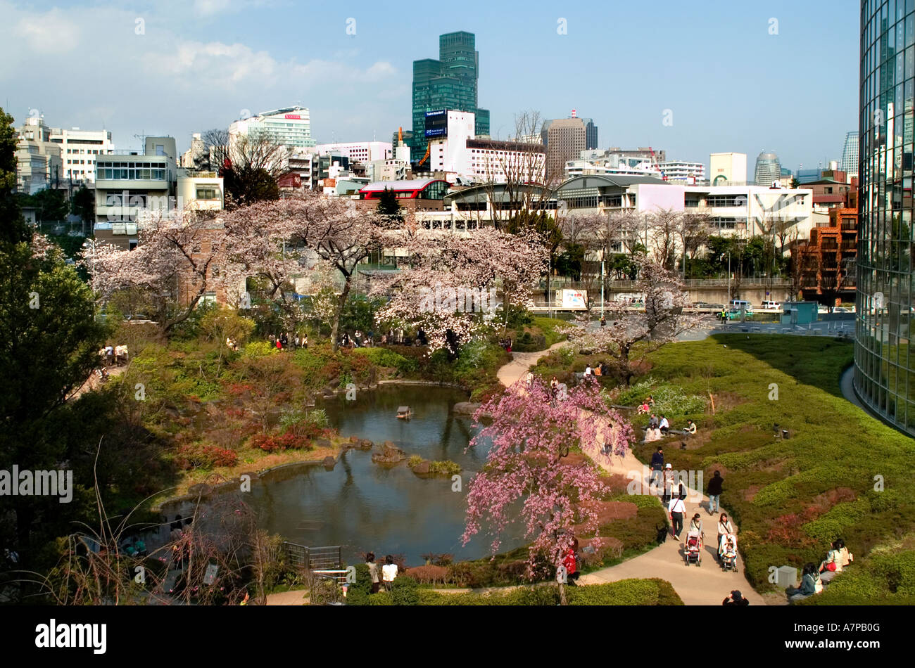 Roppongi Hills Roppongi Hiruzu Kirschblüte rosa Stockfoto