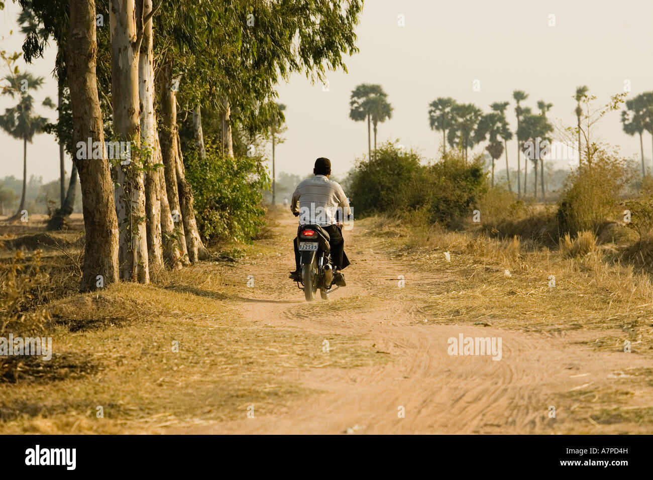 Verkehr auf den Straßen in und in der Nähe von Phnom Penh Kambodscha Stockfoto