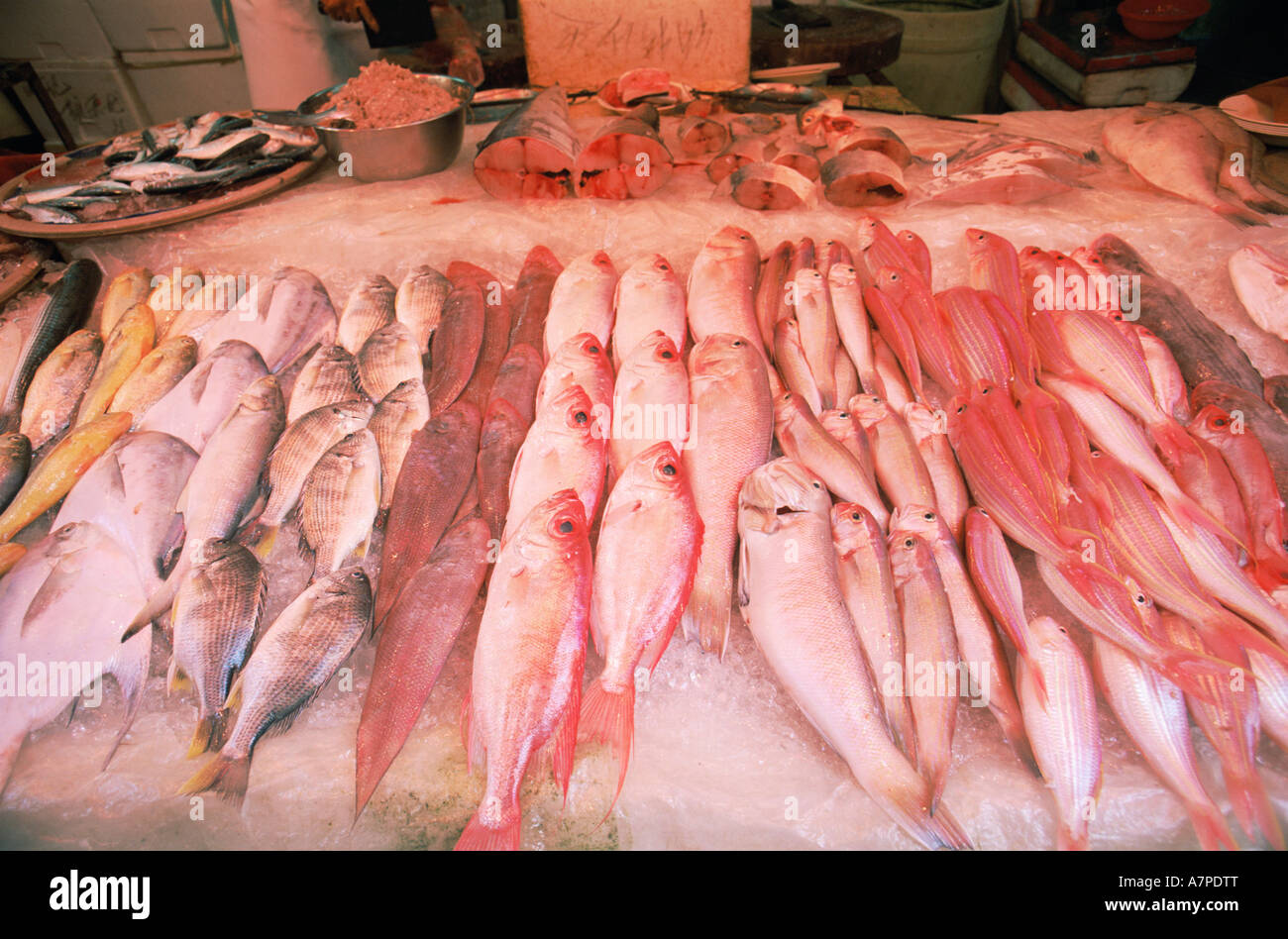 China, Hong Kong, Fischmarkt Display Stockfoto
