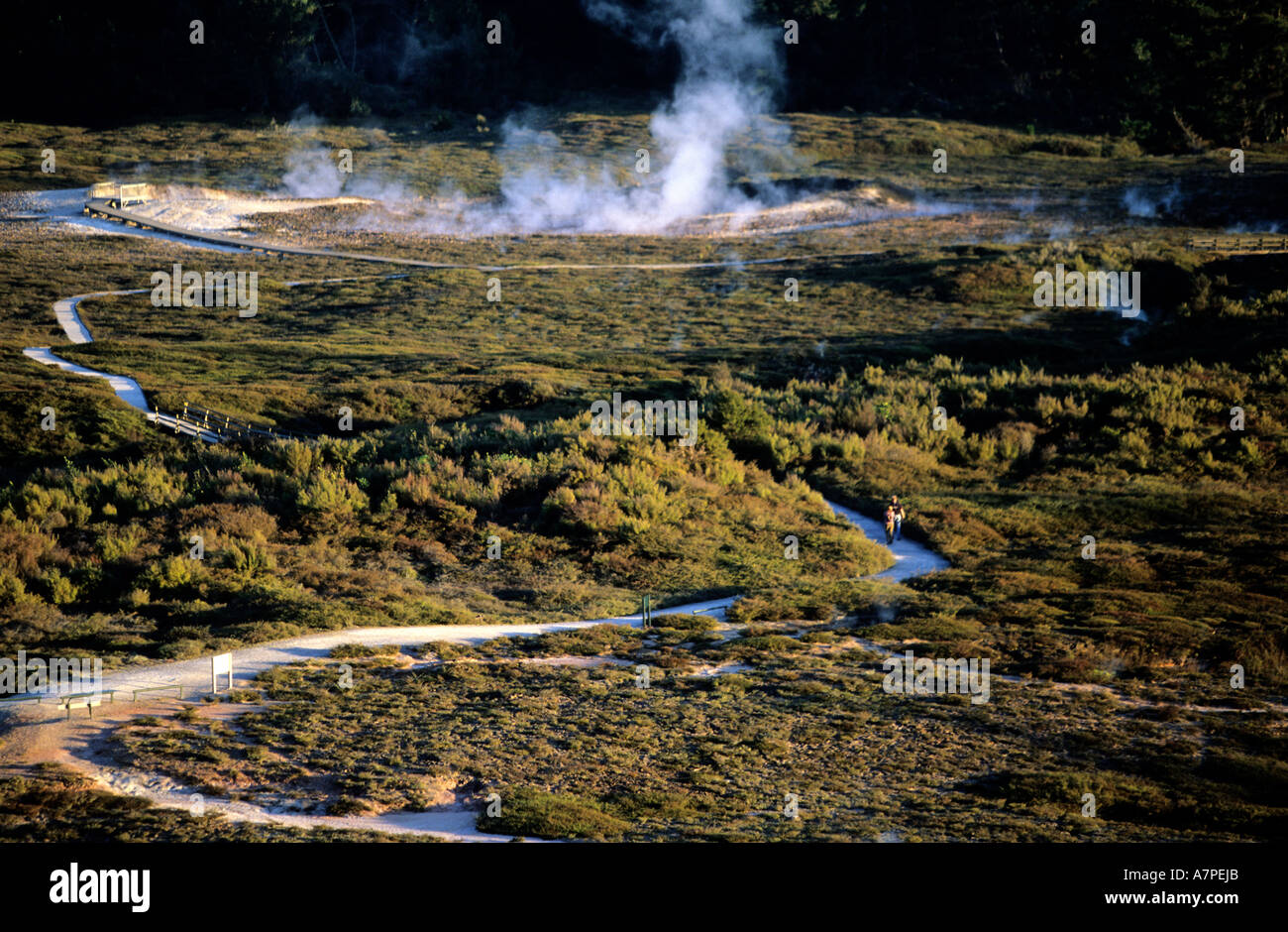 Neuseeland, Nordinsel, Krater des Mondes, geothermische und vulkanische Gegend in der Nähe von Rotorura Stockfoto