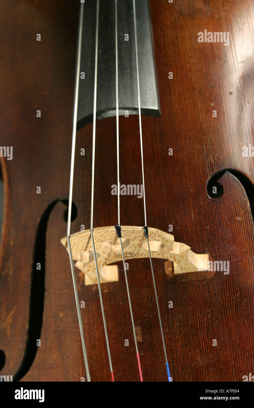 Cello-Brücke Detail mit f Löcher im Blick Stockfoto