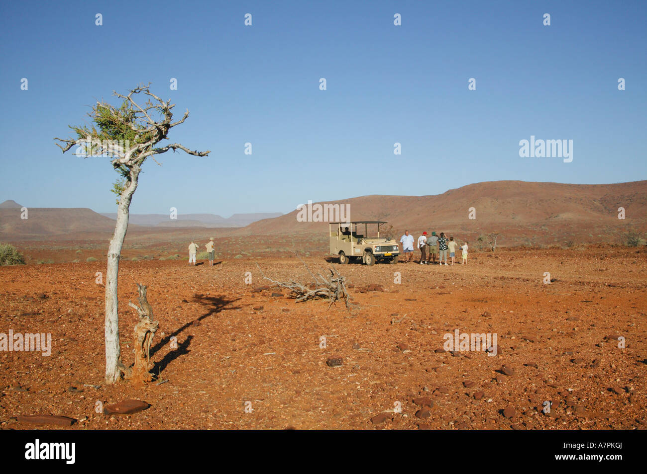 Ein Spiel mit dem Auto Fahrzeug und Gruppe von Touristen in Etendeka eines Damaraland Tierwelt Konzessionsgebieten Stockfoto
