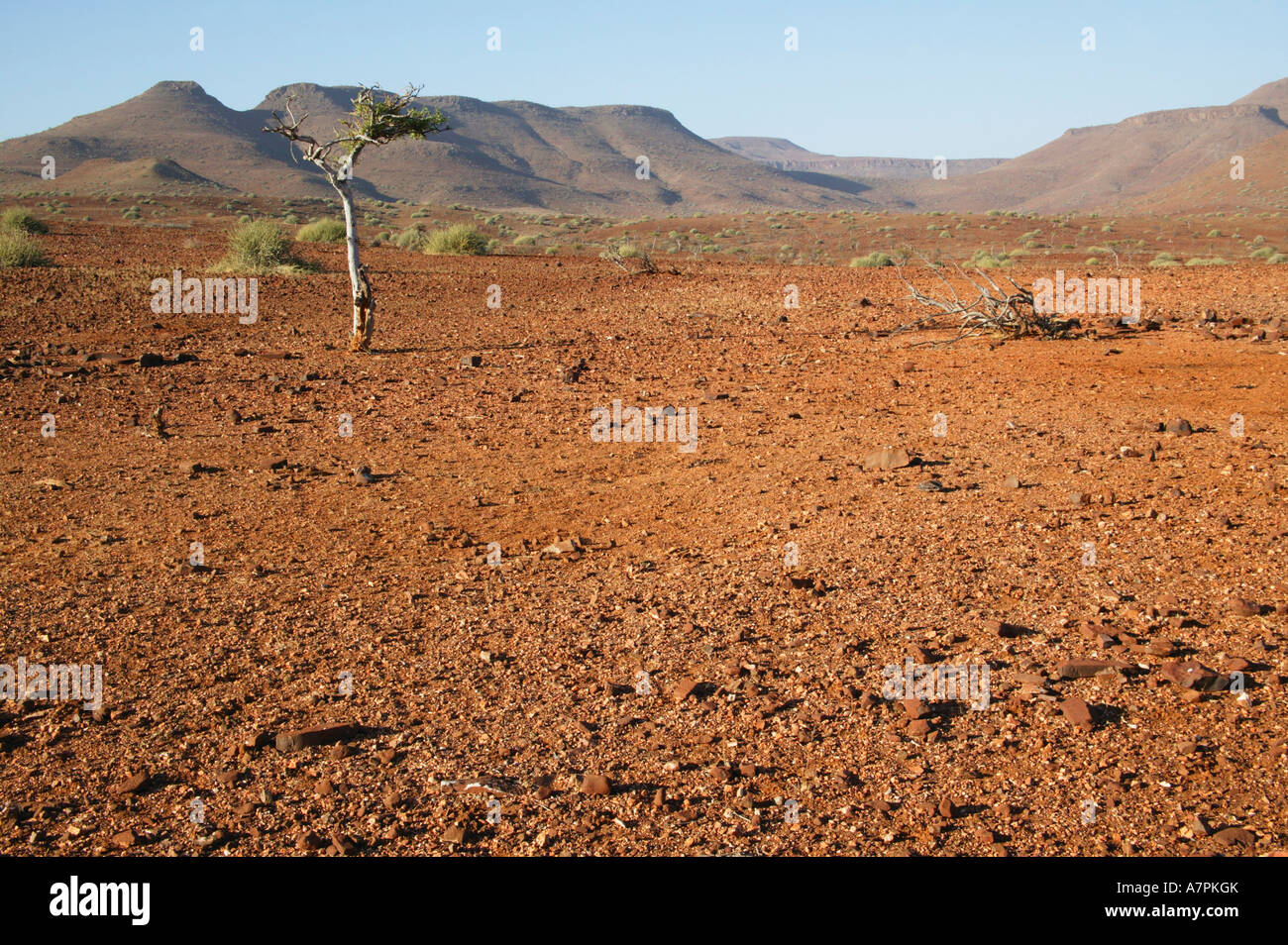 Einen malerischen Blick auf eine Landschaft in Etendeka eines Damaraland Konzession Wildruhezonen Etendeka Damaraland Namibia Stockfoto
