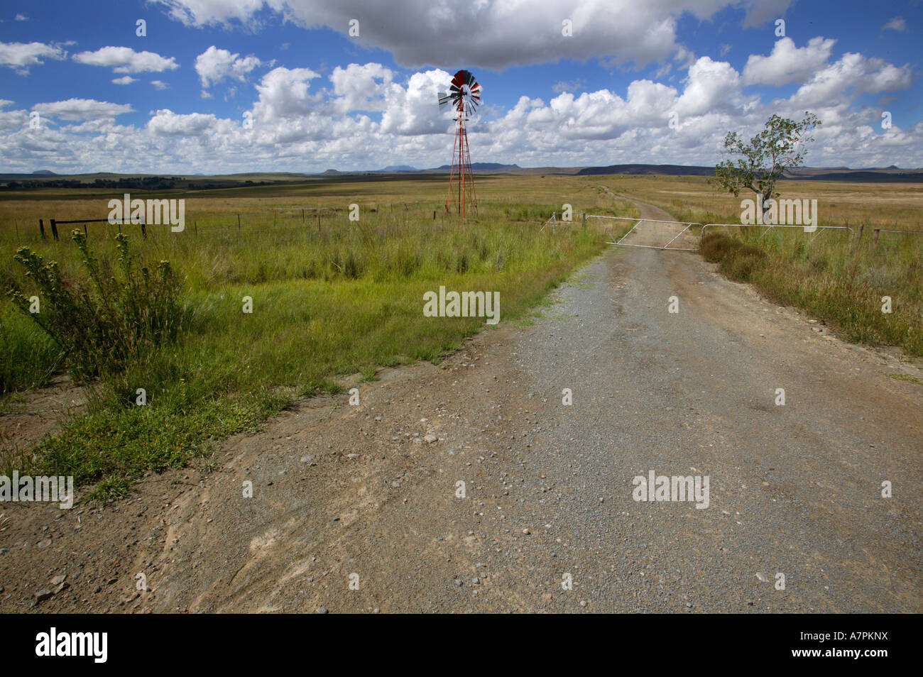 Ein Feldweg führt durch ein Tor vorbei eine rote Windmühle in der Nähe von Aliwal North Eastern Cape in Südafrika Stockfoto