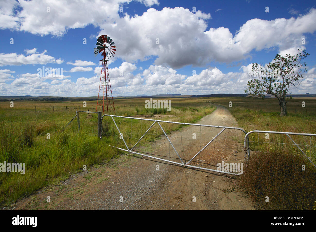Ein Bauernhof Straße führt durch ein Tor vorbei eine rote Windmühle und biegen in die Ferne in der Nähe von Aliwal North Eastern Cape in Südafrika Stockfoto