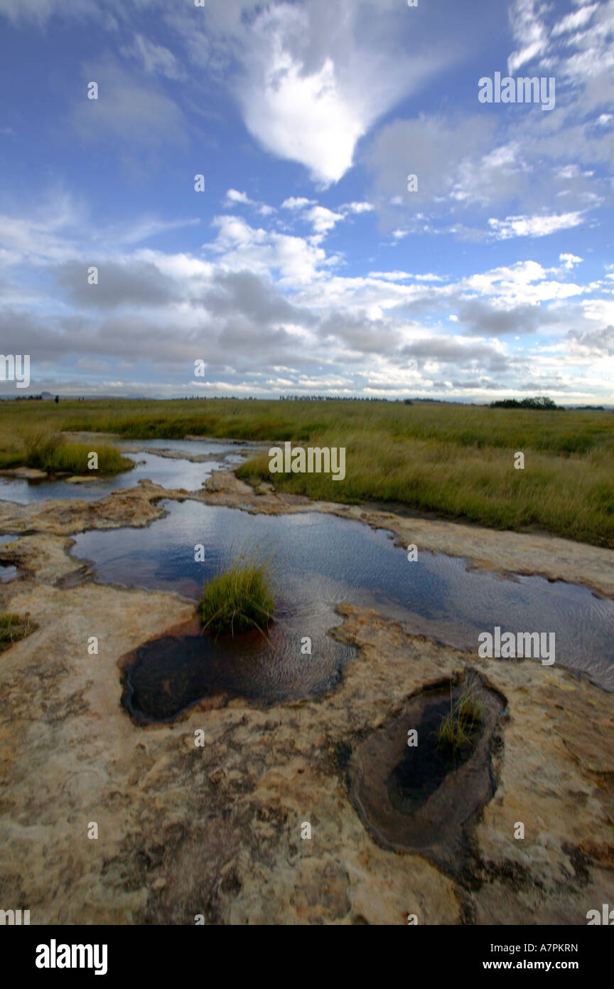 Eine ländliche Gegend-Szene mit Regenwasser gesammelt in Pfützen auf einem flachen Felsen in ein offenes flaches Grasland Stockfoto