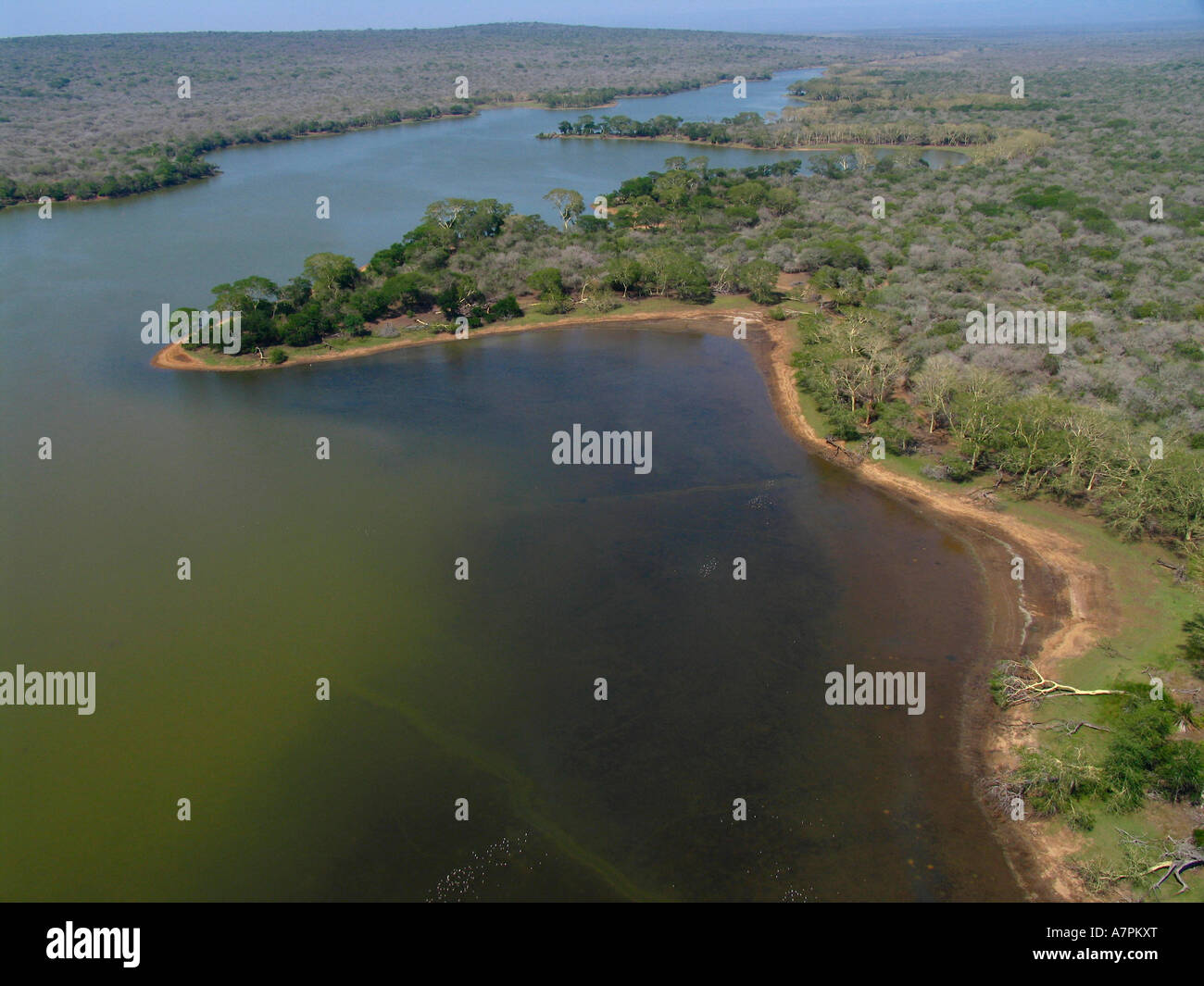 Luftaufnahme eines Wasser gefüllten See von Fieber Bäumen gesäumt und andere große Bäume von den Pfannen im Ndumo Game reserve Ndumo Stockfoto