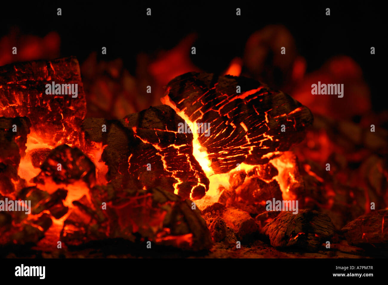 Glühende Asche in einem Holzfeuer Kgalagadi Transfrontier Park Northern Cape in Südafrika Stockfoto Glühende Asche in einem Holzfeuer Kgalagadi Transfrontier Park Northern Cape in Südafrika Stockfoto