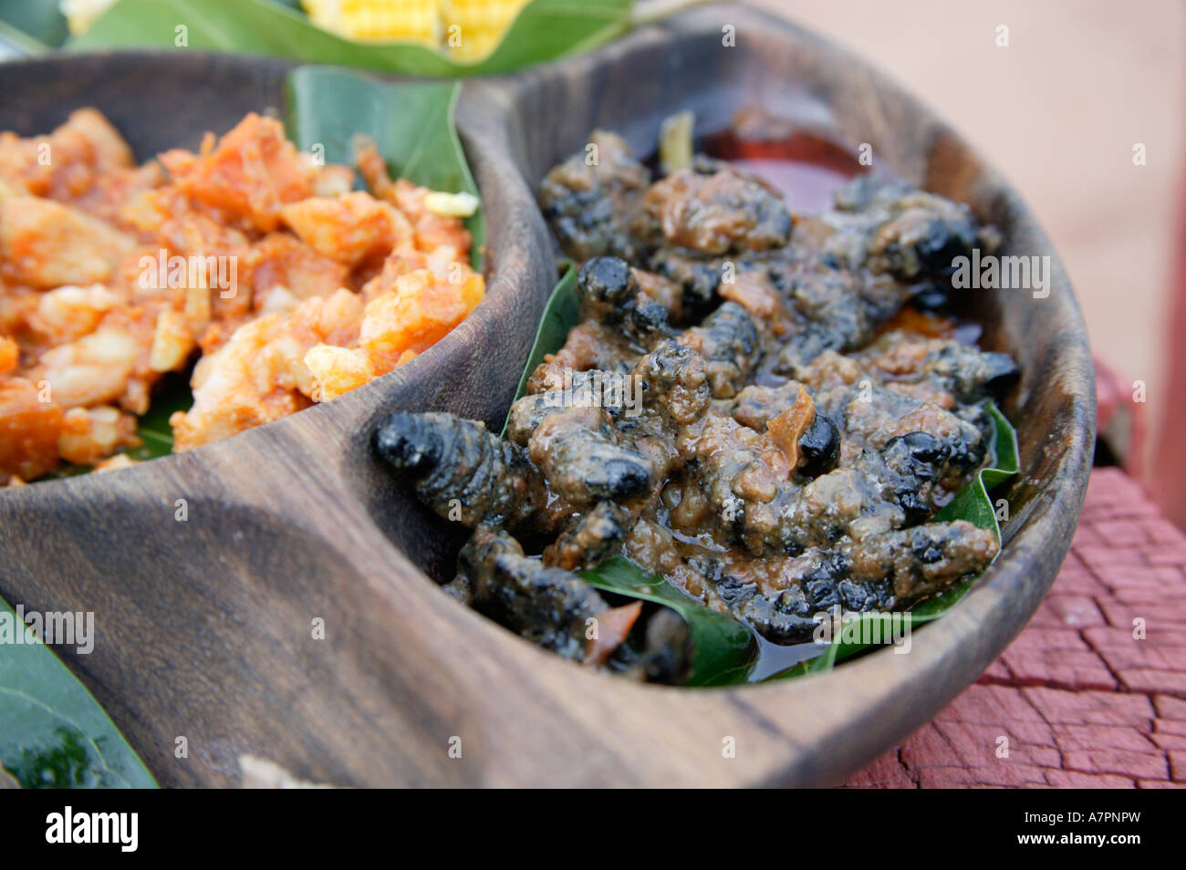 Snacks angeboten für Touristen im Shangana cultural Village - Platte umfasst gebratenen Mopane Worms auf der rechten Seite und Krokodil Stockfoto