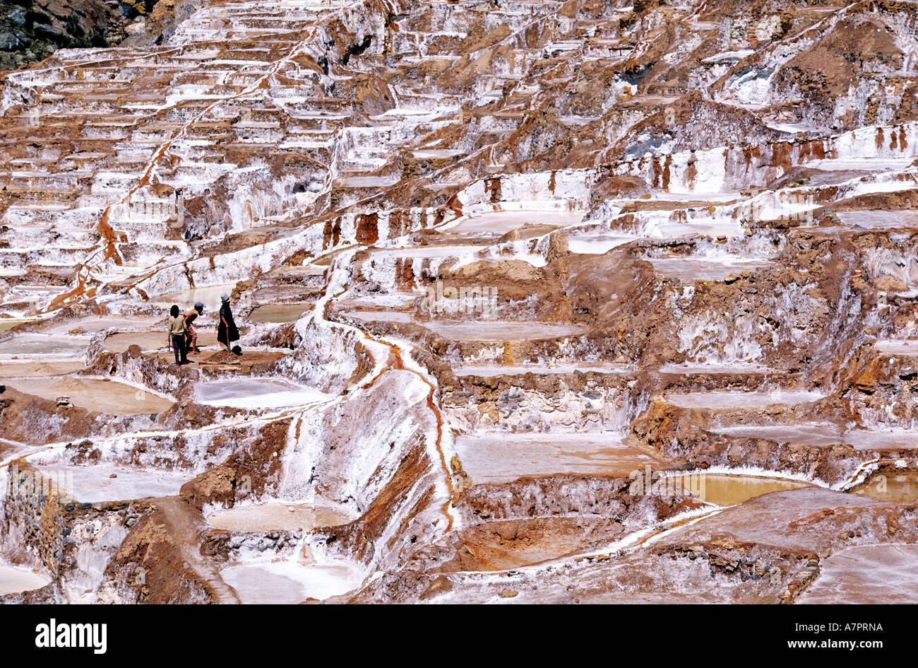 Peru, Cuzco Abteilung, Marassalt arbeiten immer in Aktivität, wurden bereits von Inkas genutzt. Stockfoto