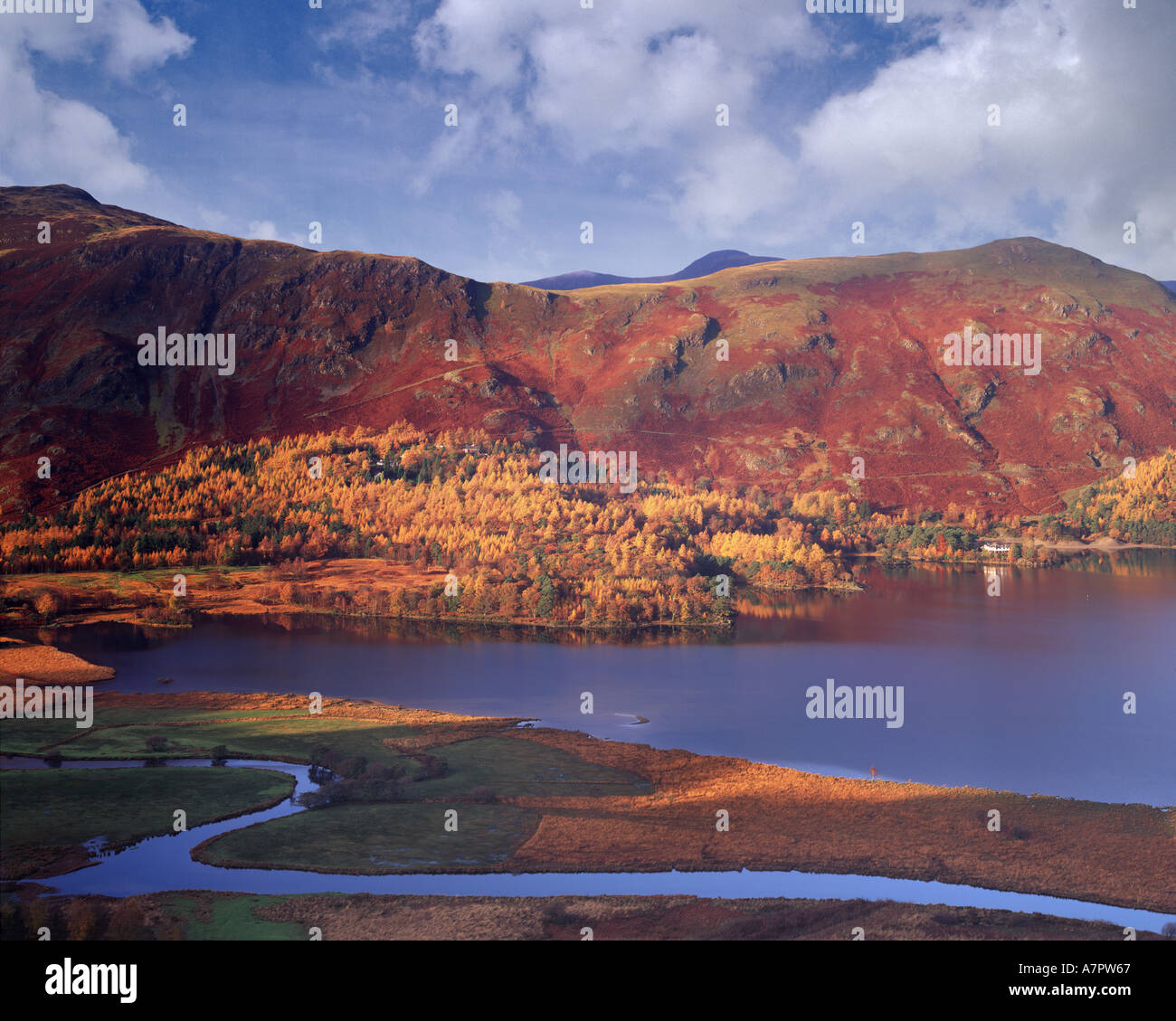 GB - CUMBRIA: Herbst am Derwentwater im Lake District Stockfoto