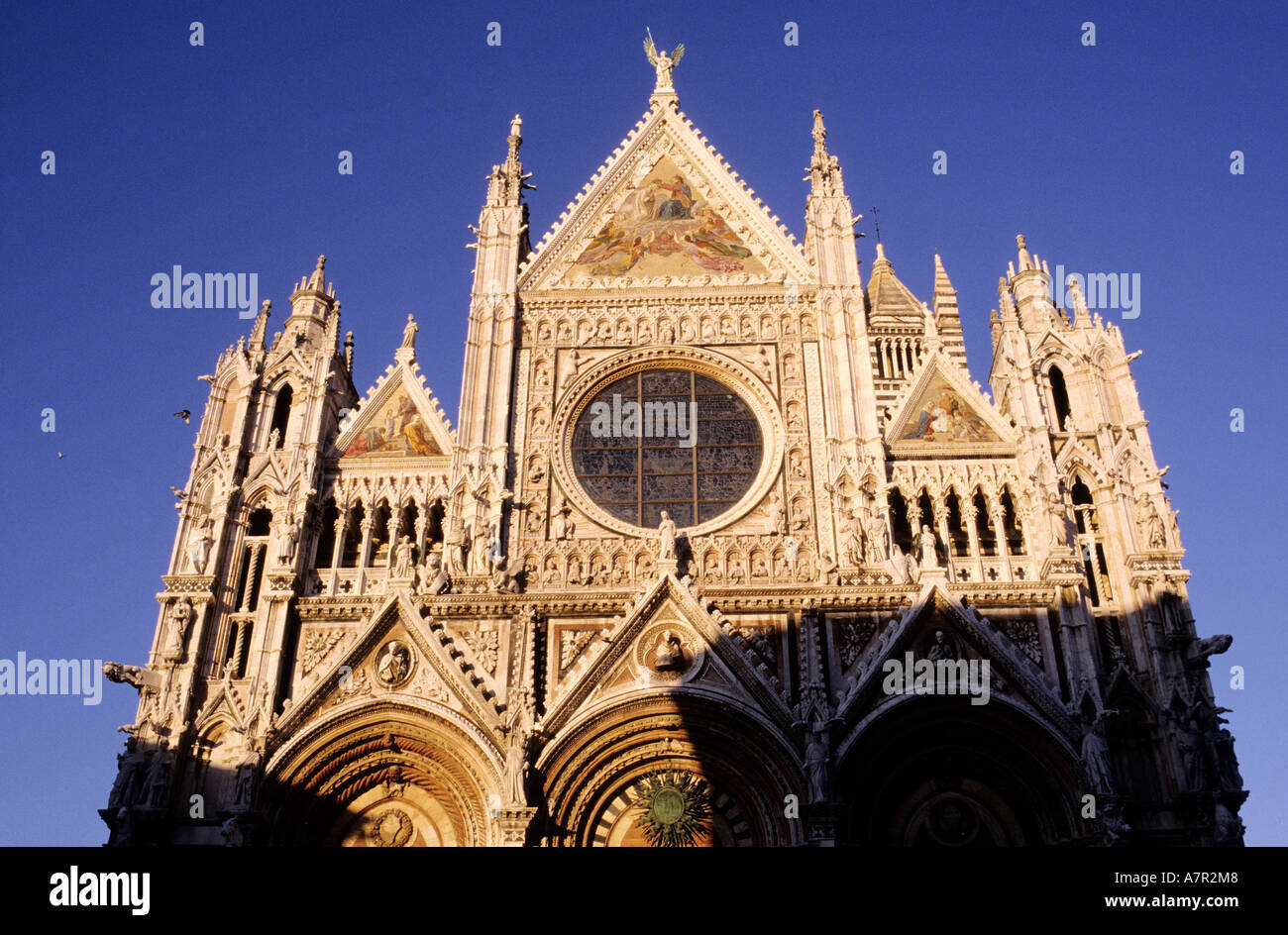 Italien, Toskana, Siena, Dom mit romanischen und gotischen Stil Stockfoto