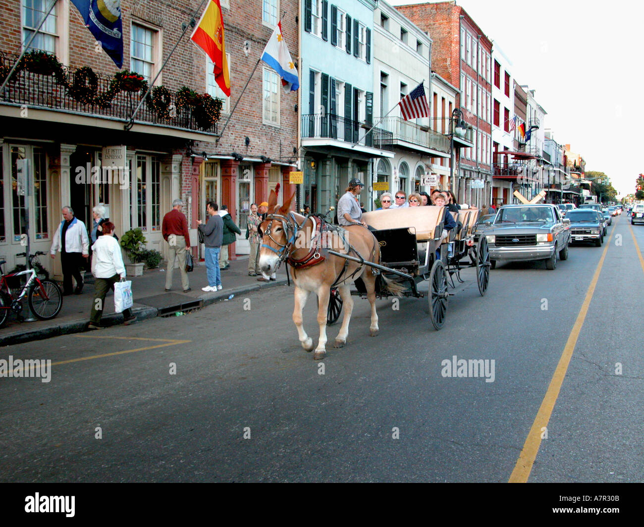 Haupttouristenziel in New Orleans mit Touristen in Pferd Kutsche auf der Bourbon Straße, die Autos auf öffentlichen Straßen verlangsamt Stockfoto